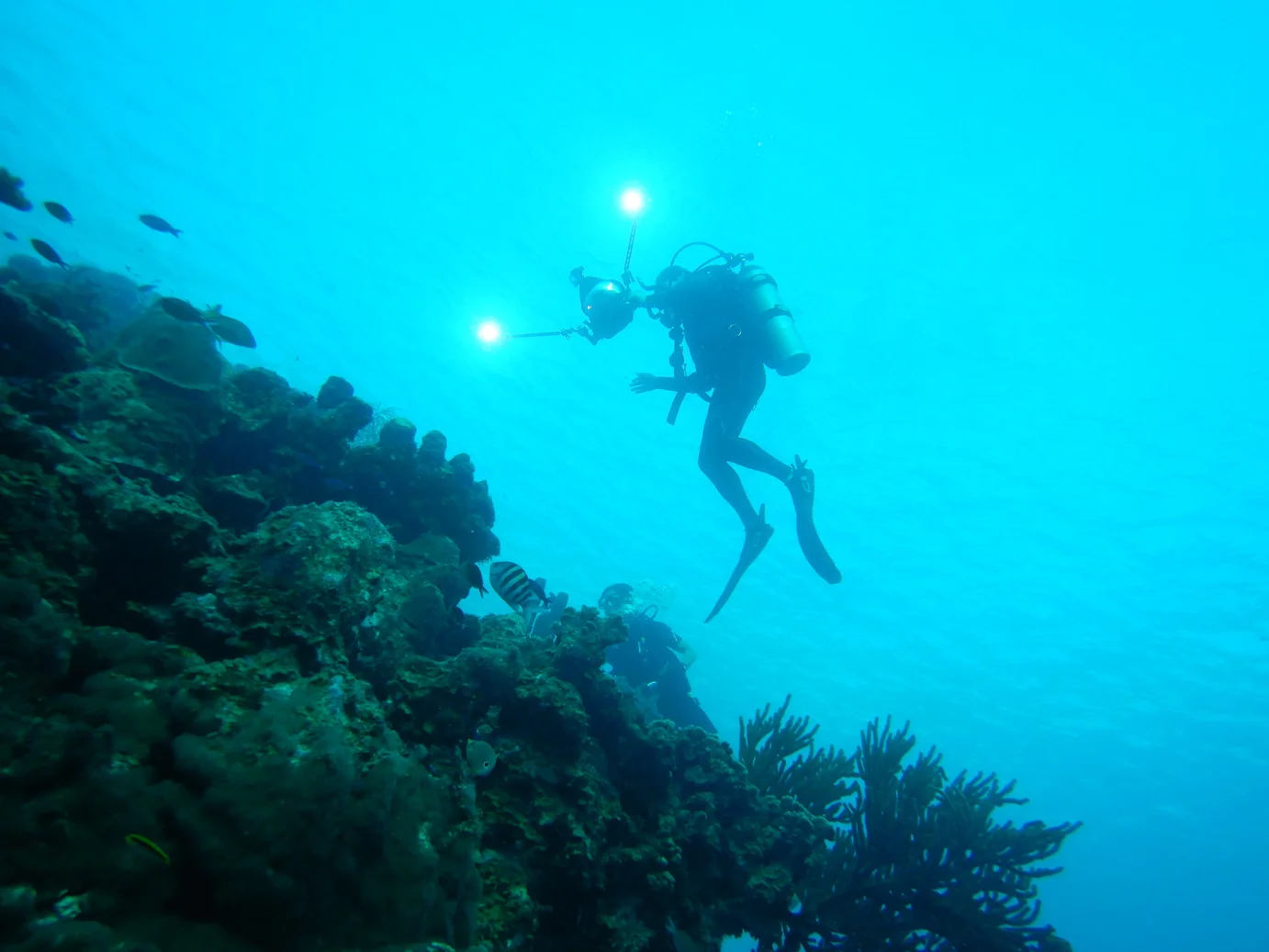 At the Edge of Light : selected for the DEEPWAVE Film festival in Germany