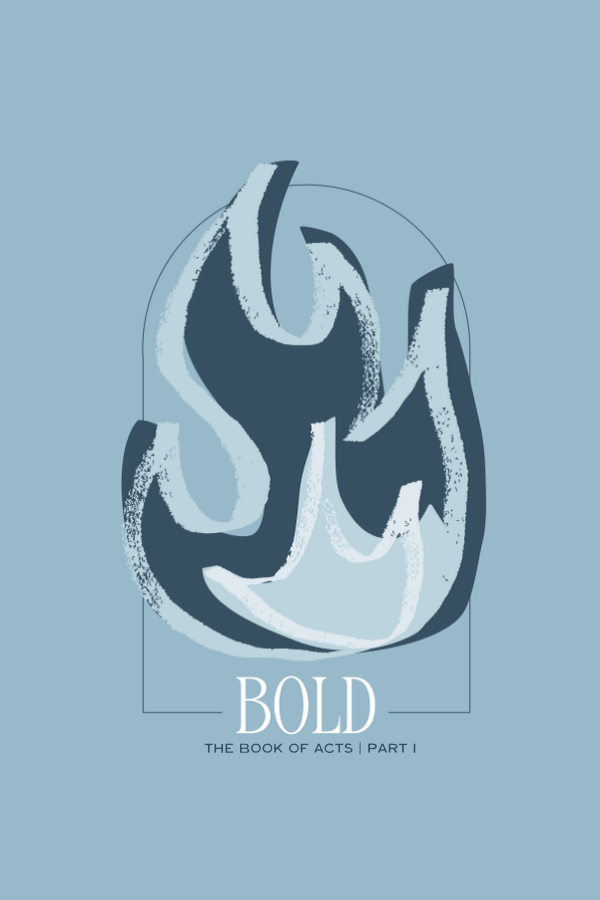 Women's Bible Study workbook, Book of Acts, BOLD
