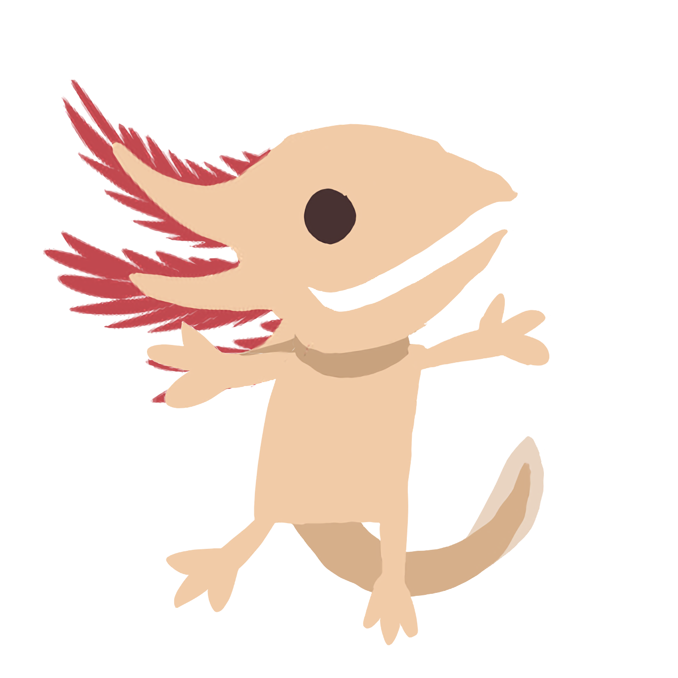 Axolotl.png