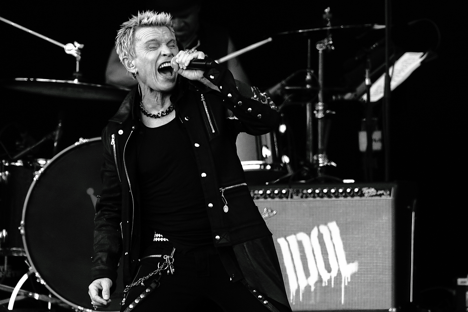 IMG_1699_Billy_Idol_ BW.JPG