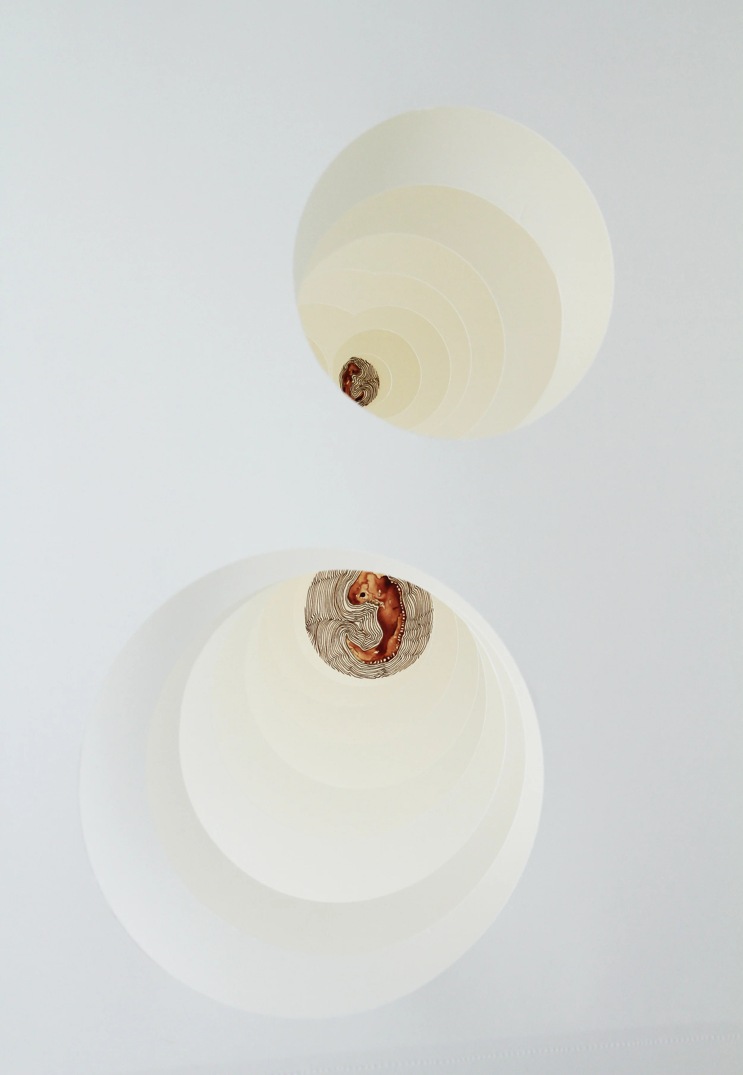 Embryonic passages.jpg