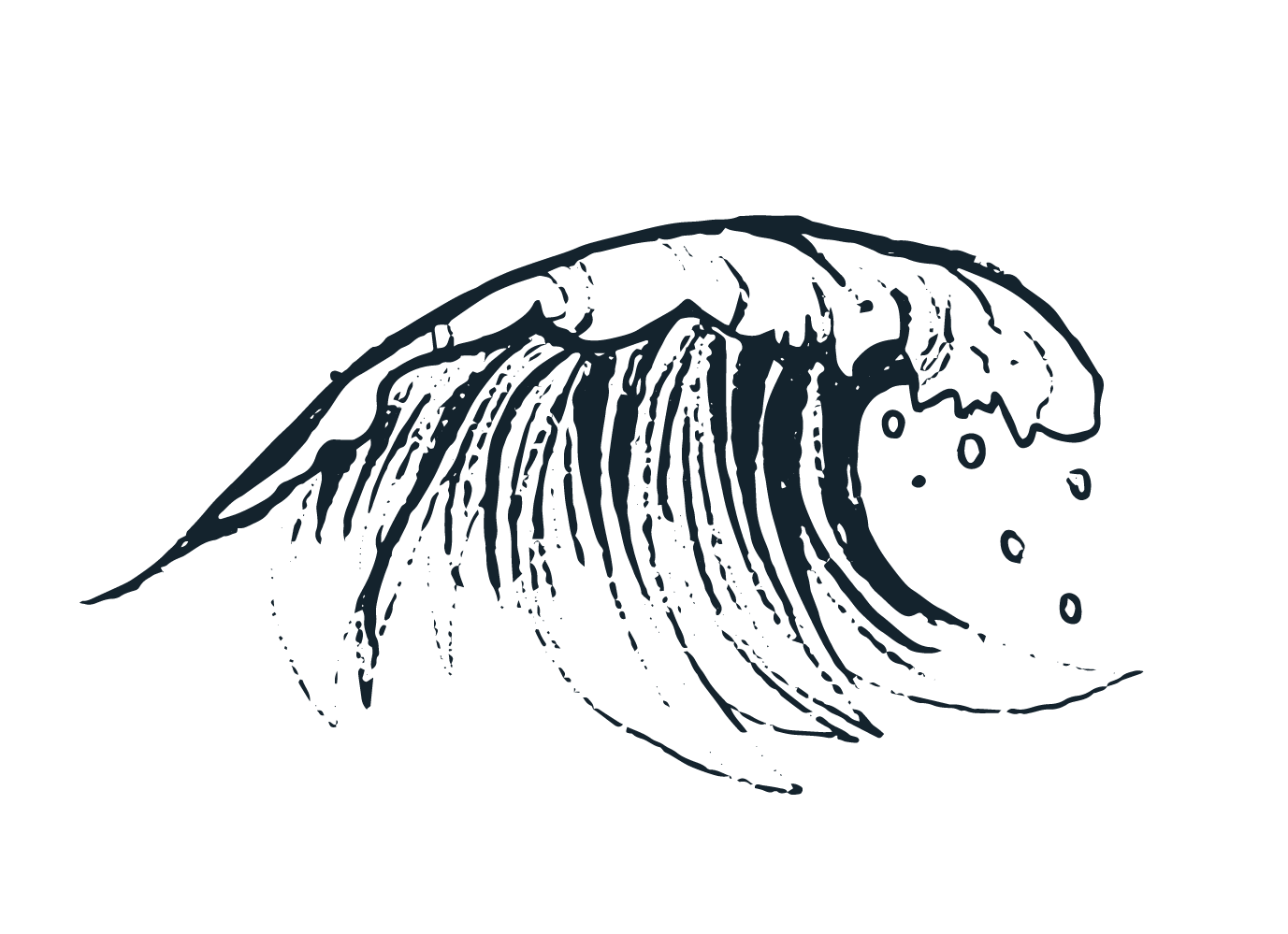 illustrations-56 copy 2.png