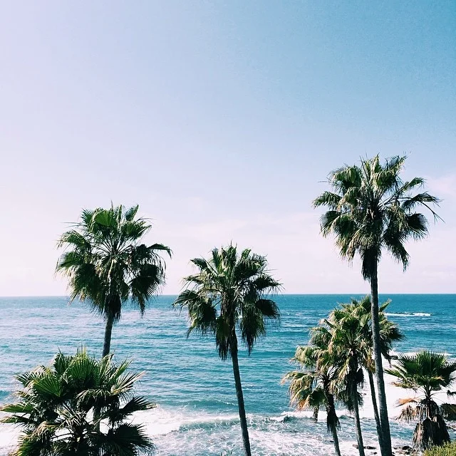 kushandwizdom:

Good Vibes HERE