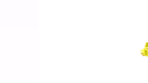 giphy (2).gif