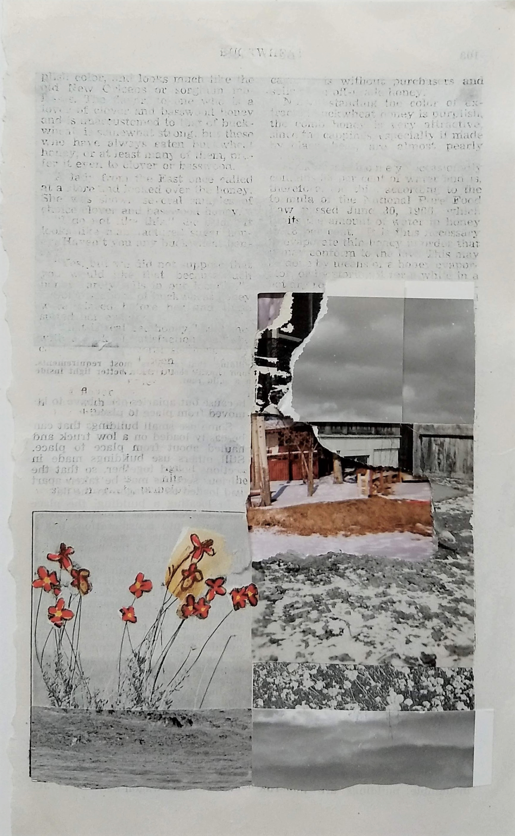 homeflowers1.jpg