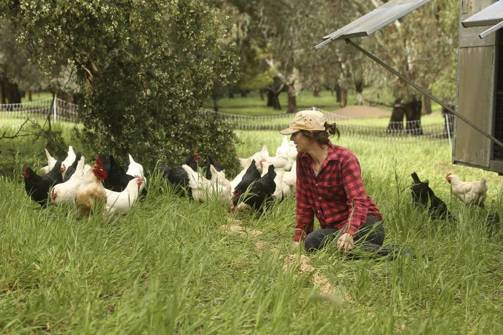 crazy veggie lover + RADeggs