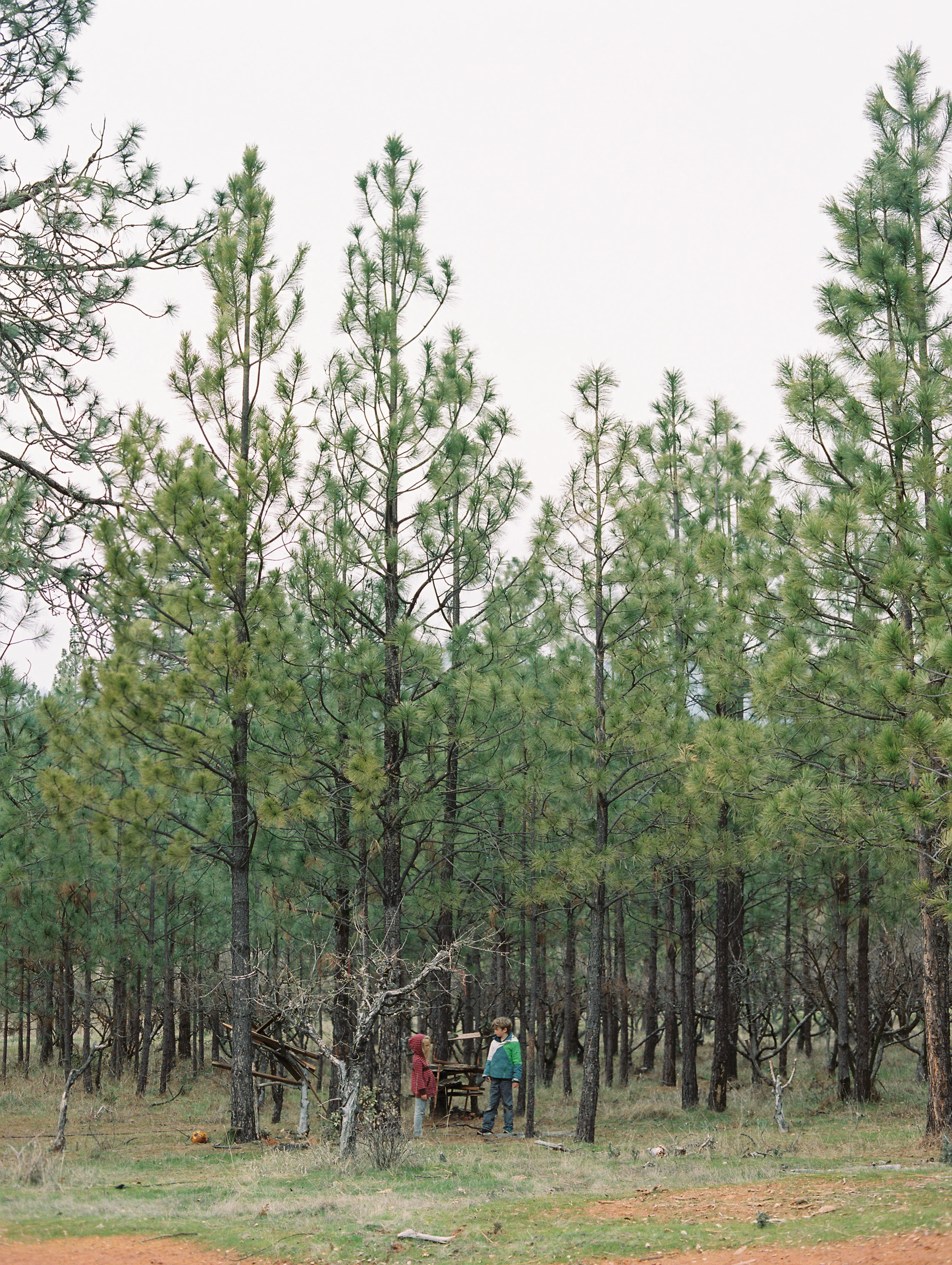 SR29815Don022401-R2-027.jpg