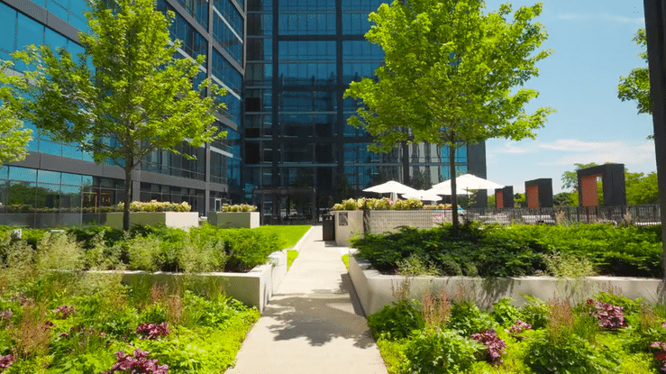 Live Solverre-high.gif