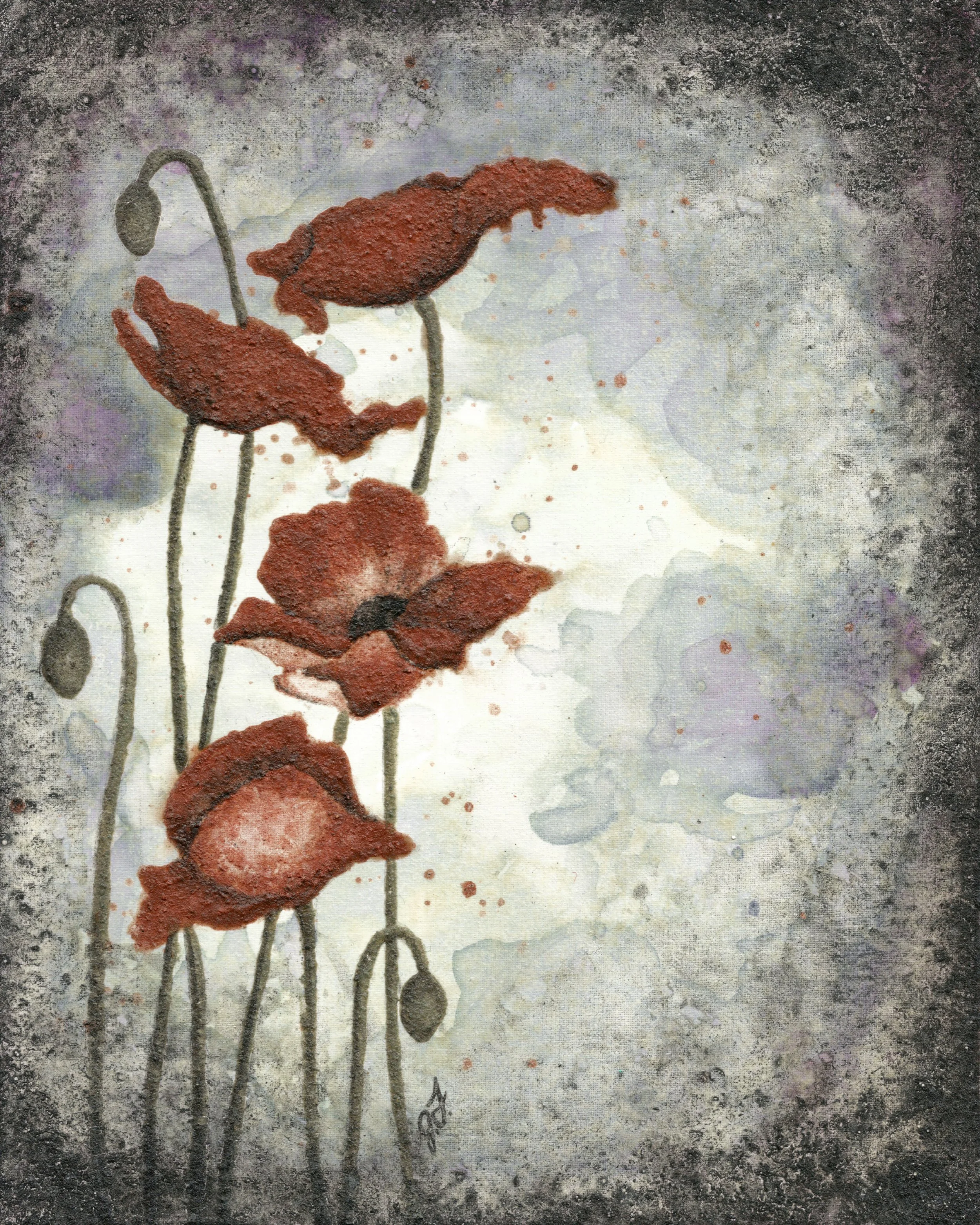 ghost-poppies.jpg