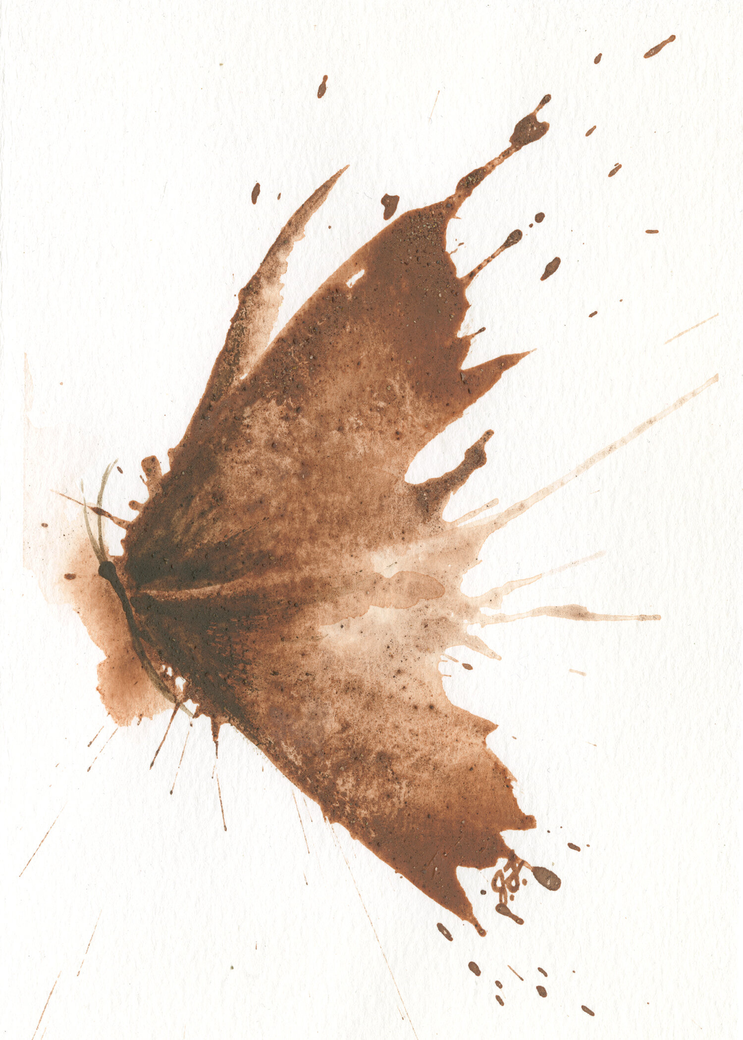 3DB4B26F-43C4-4340-A9A9-9AF49574E40B