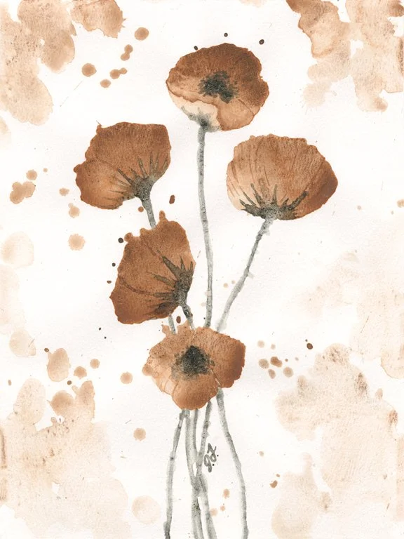 Poppies email.jpg