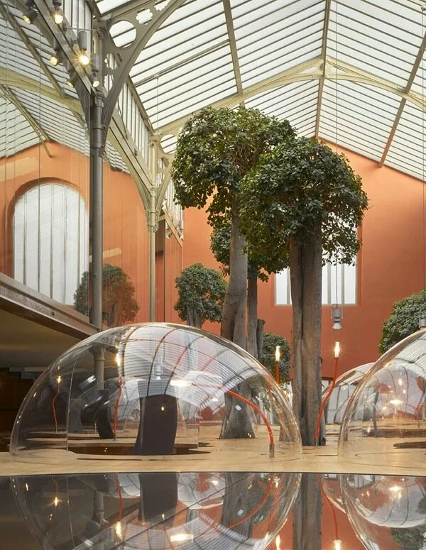 Office Design + Employee Wellness Ideas for Post-pandemic Reentry