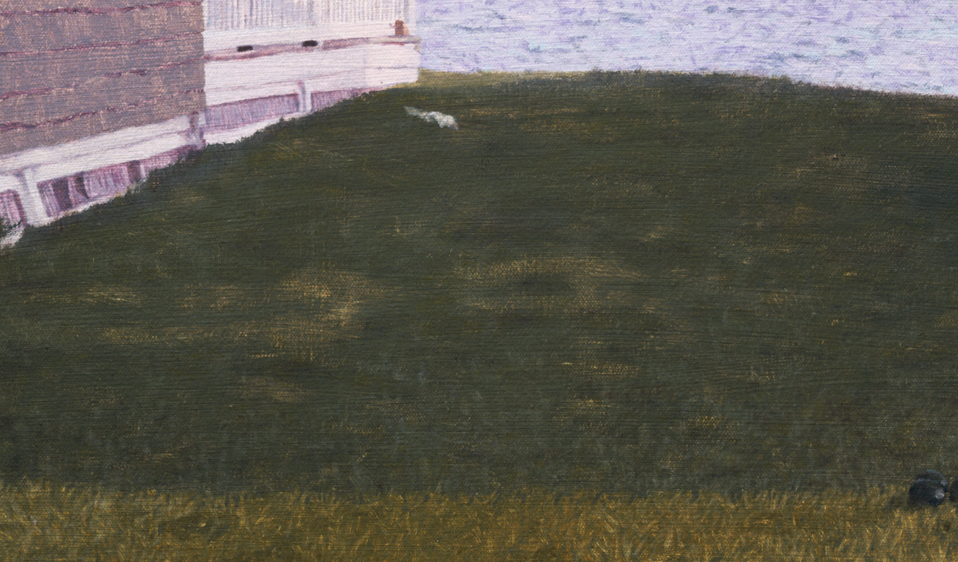   Between 2 Houses &nbsp;(Detail), 2006 Oil on linen 40 x 27 inches 