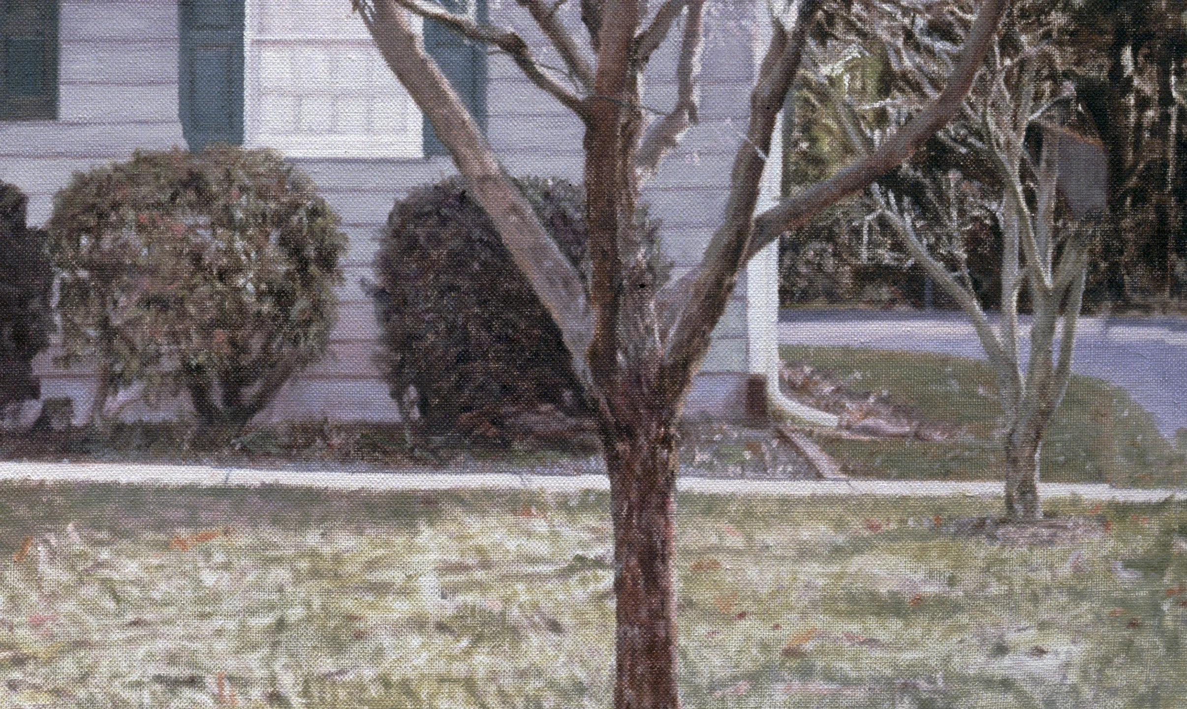 Yardley Ranch House (Detail), 2009 Oil on linen 35 1/2 x 55 inches