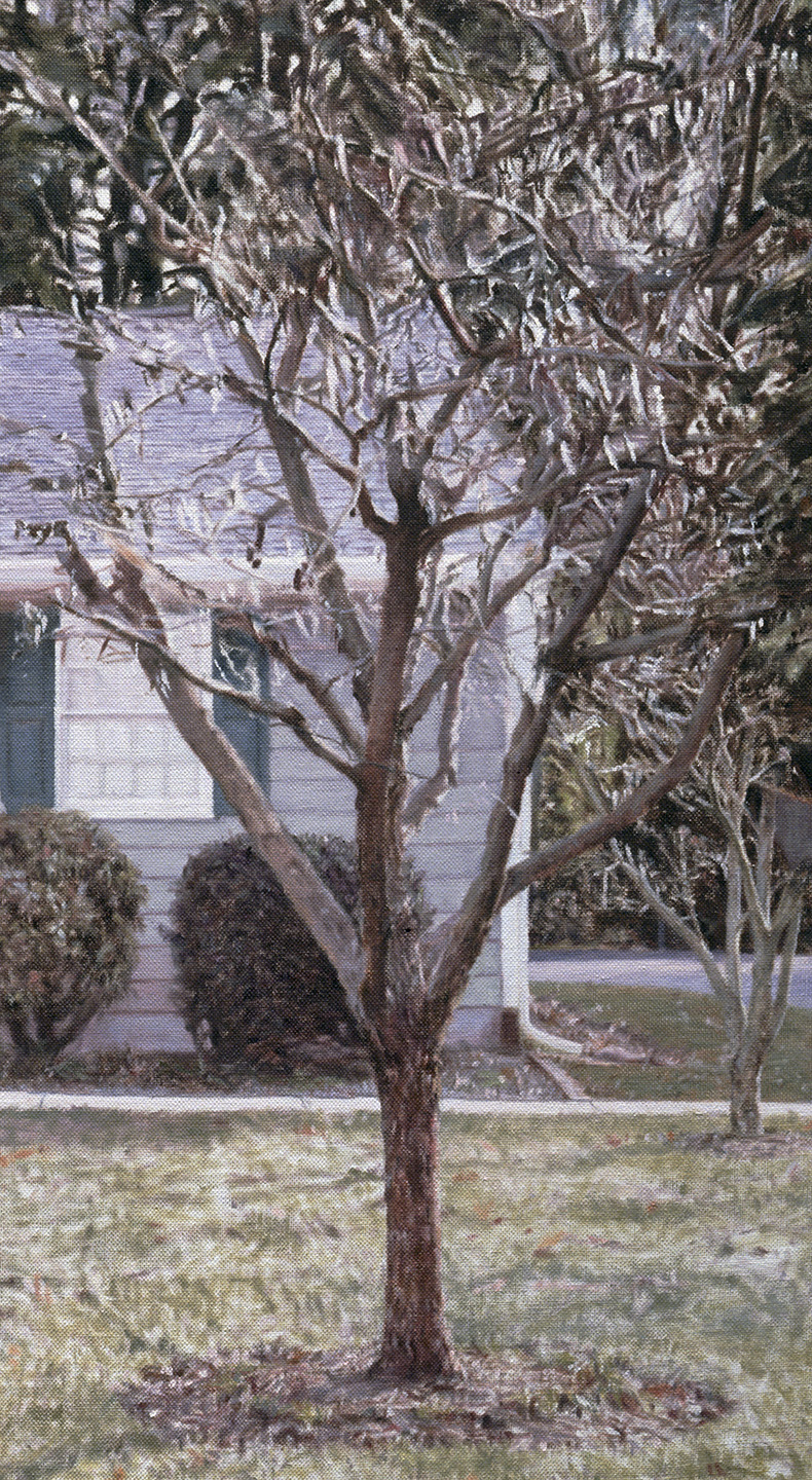   Yardley Ranch House &nbsp;(Detail), 2009 Oil on linen 35 1/2 x 55 inches 