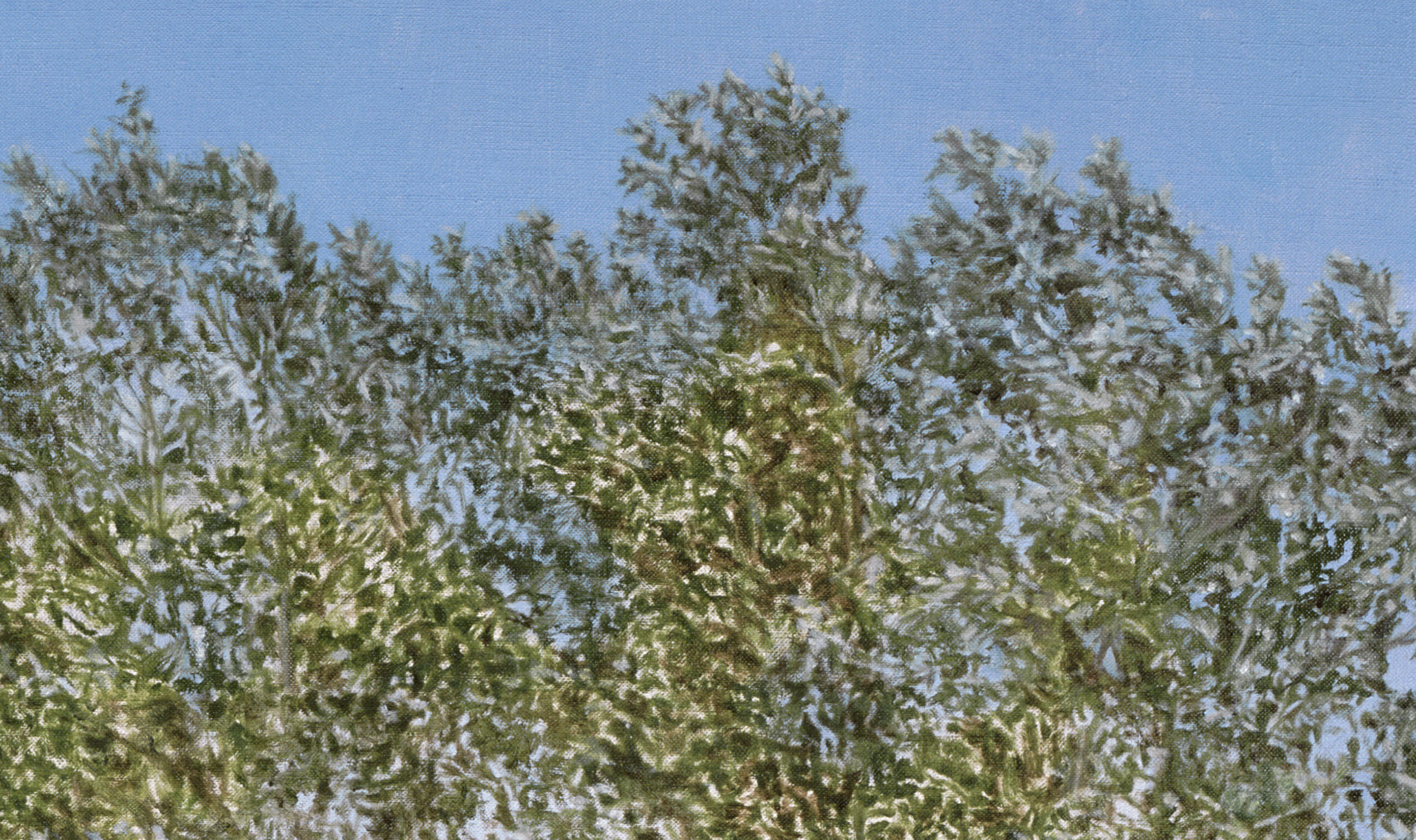   Montana Detour Tree &nbsp;(Detail), 2014 Oil on linen 60 1/2 x 38 inches 