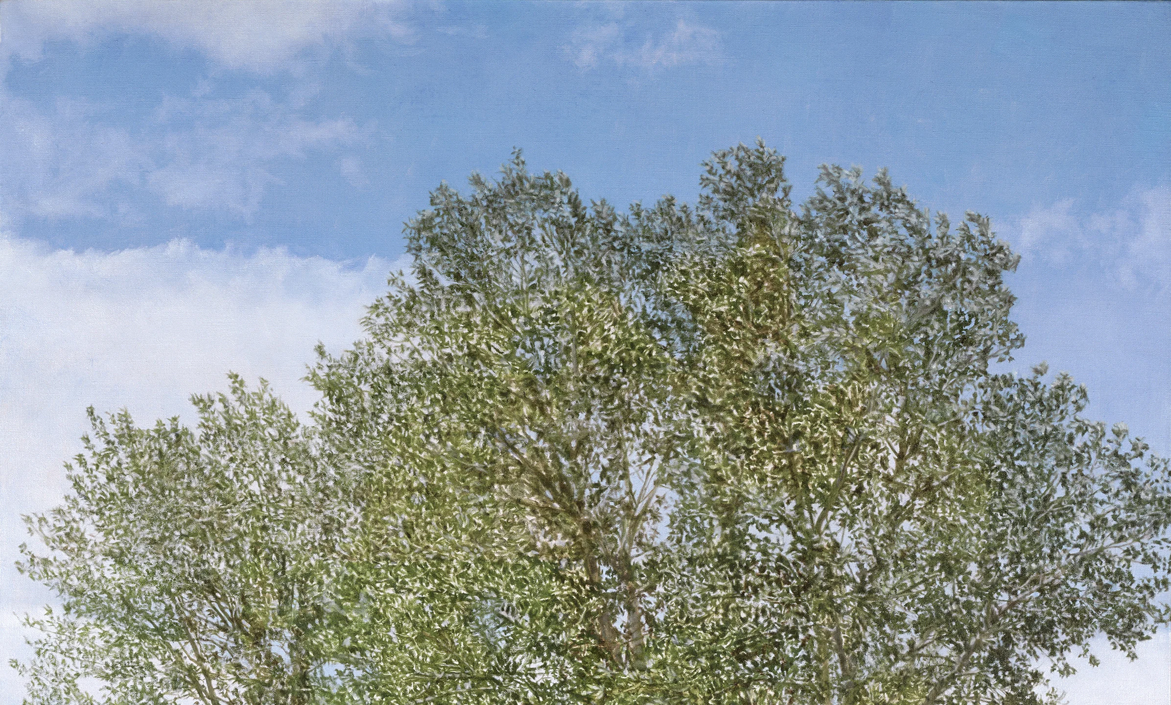 Montana Detour Tree (Detail), 2014 Oil on linen 60 1/2 x 38 inches