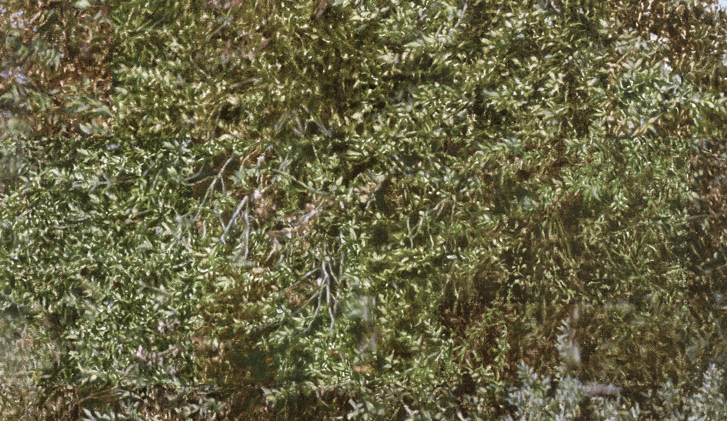 Montana Detour Tree (Detail), 2014 Oil on linen 60 1/2 x 38 inches
