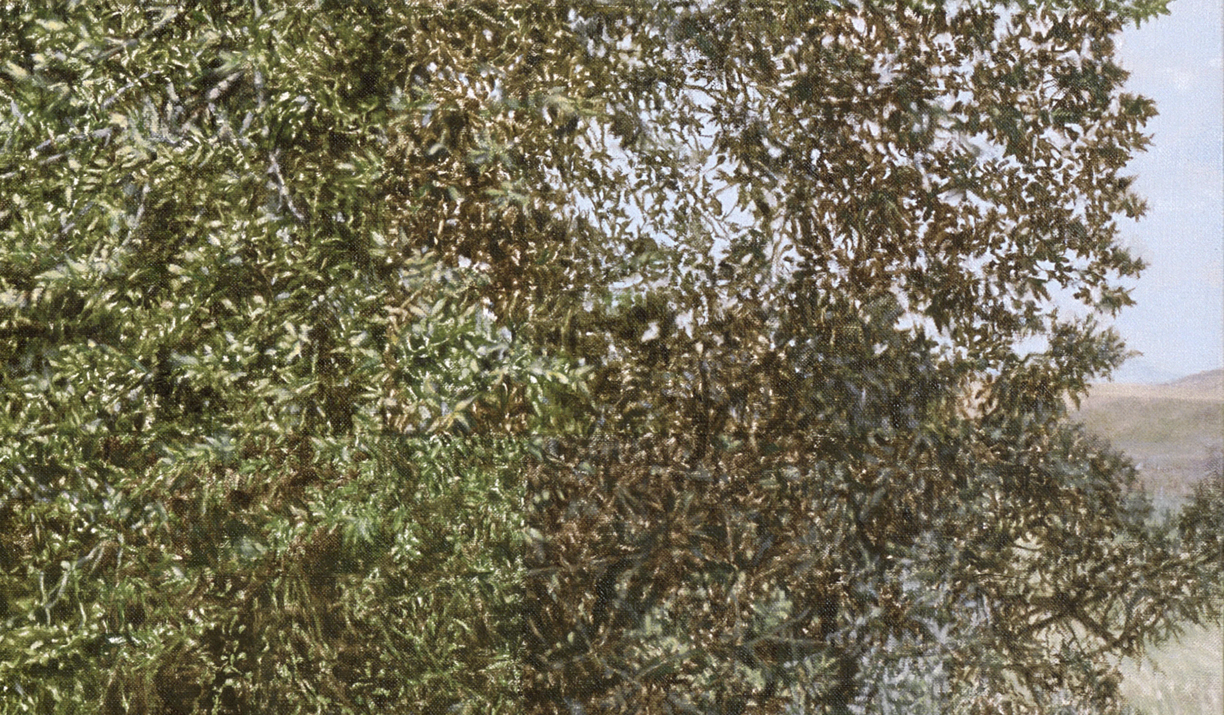 Montana Detour Tree (Detail), 2014 Oil on linen 60 1/2 x 38 inches