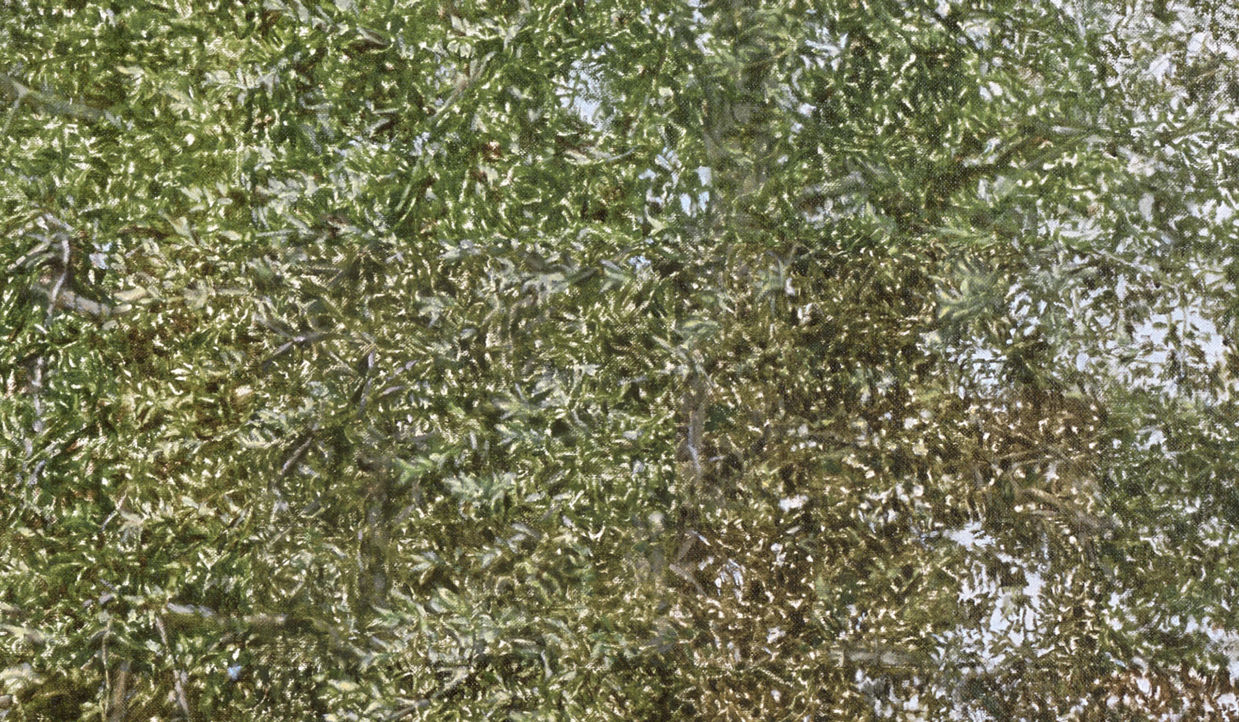 Montana Detour Tree (Detail), 2014 Oil on linen 60 1/2 x 38 inches