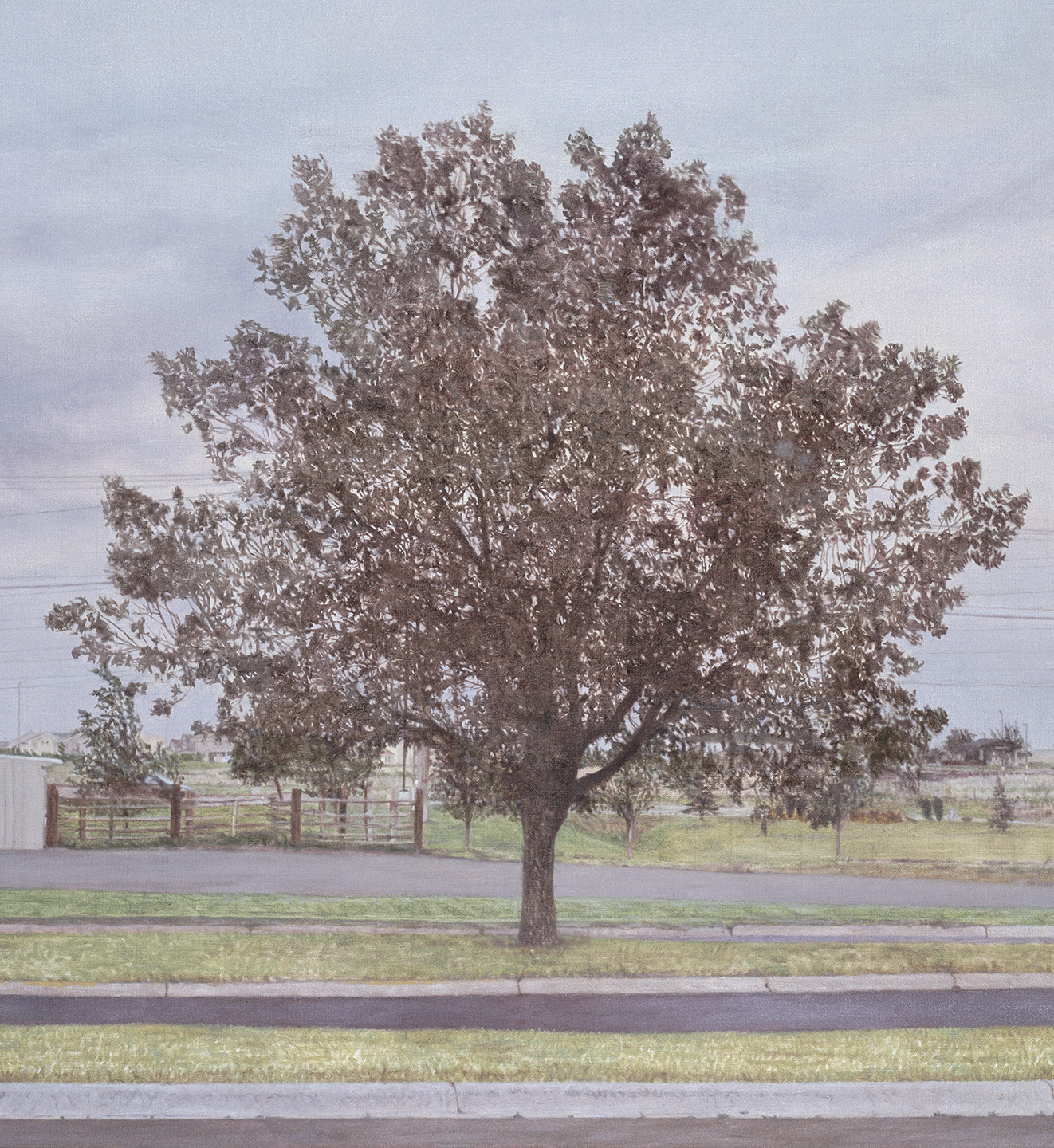   Montana Parking Lot Tree &nbsp;(Detail), 2013 Oil on linen 35 x 62 inches 