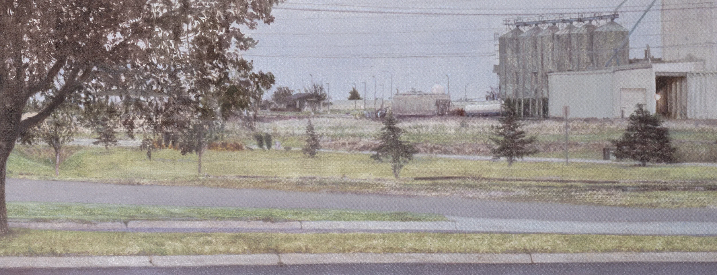 Montana Parking Lot Tree (Detail), 2013 Oil on linen 35 x 62 inches