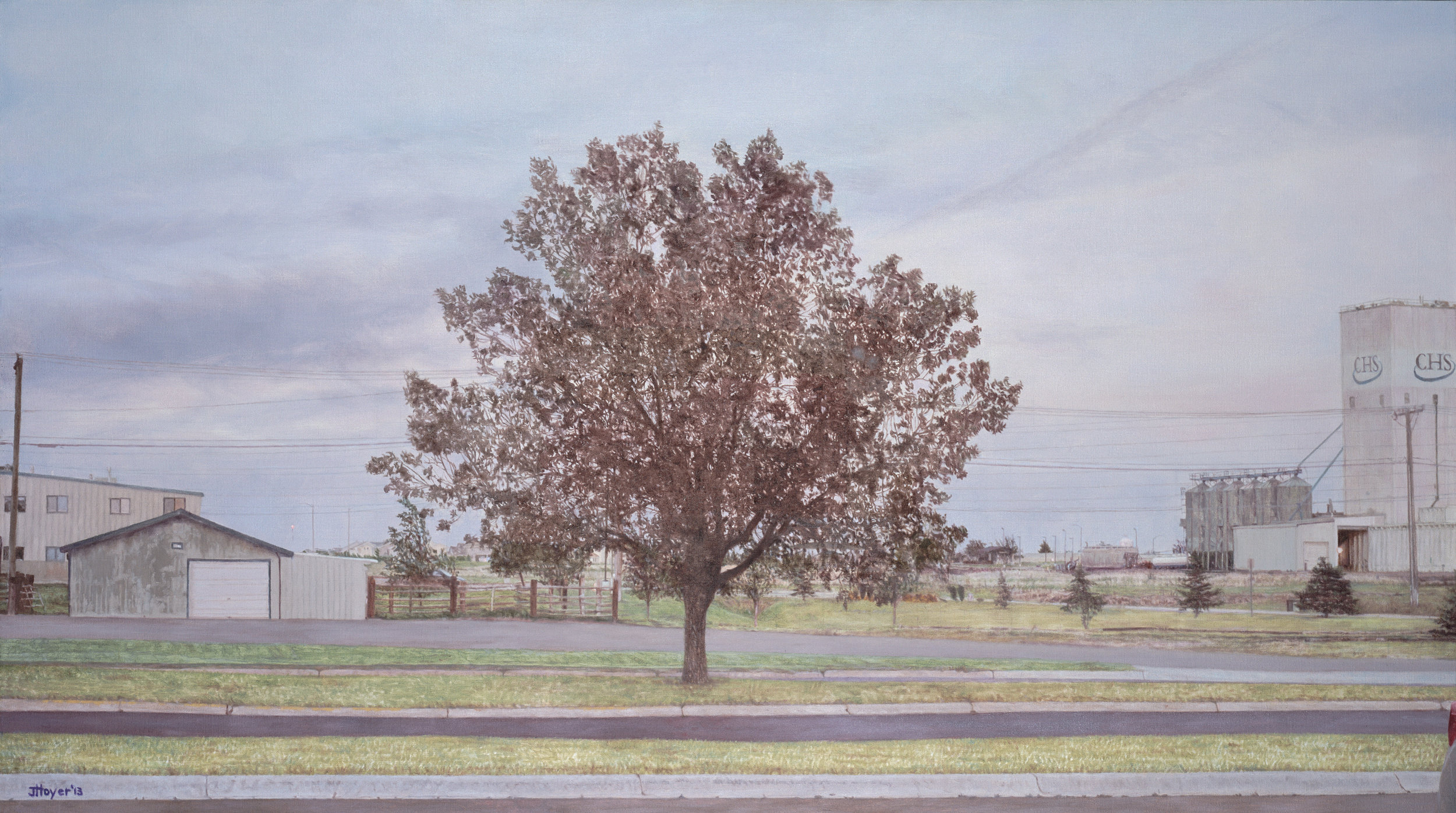   Montana Parking Lot Tree , 2013 Oil on linen 35 x 62 inches 