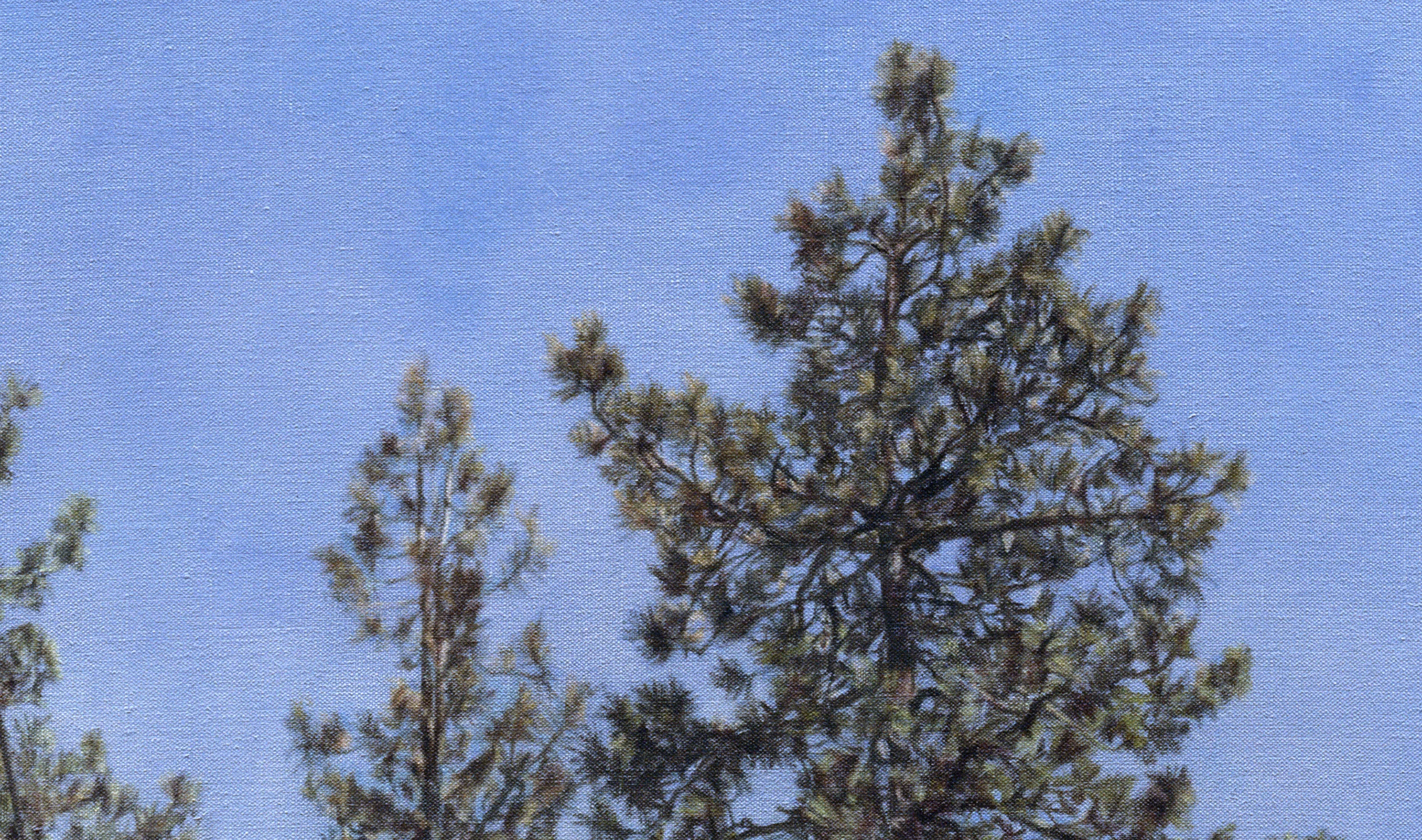 Big Bear Land Slab (Detail), 2011 Oil on linen 48 x 47 inches