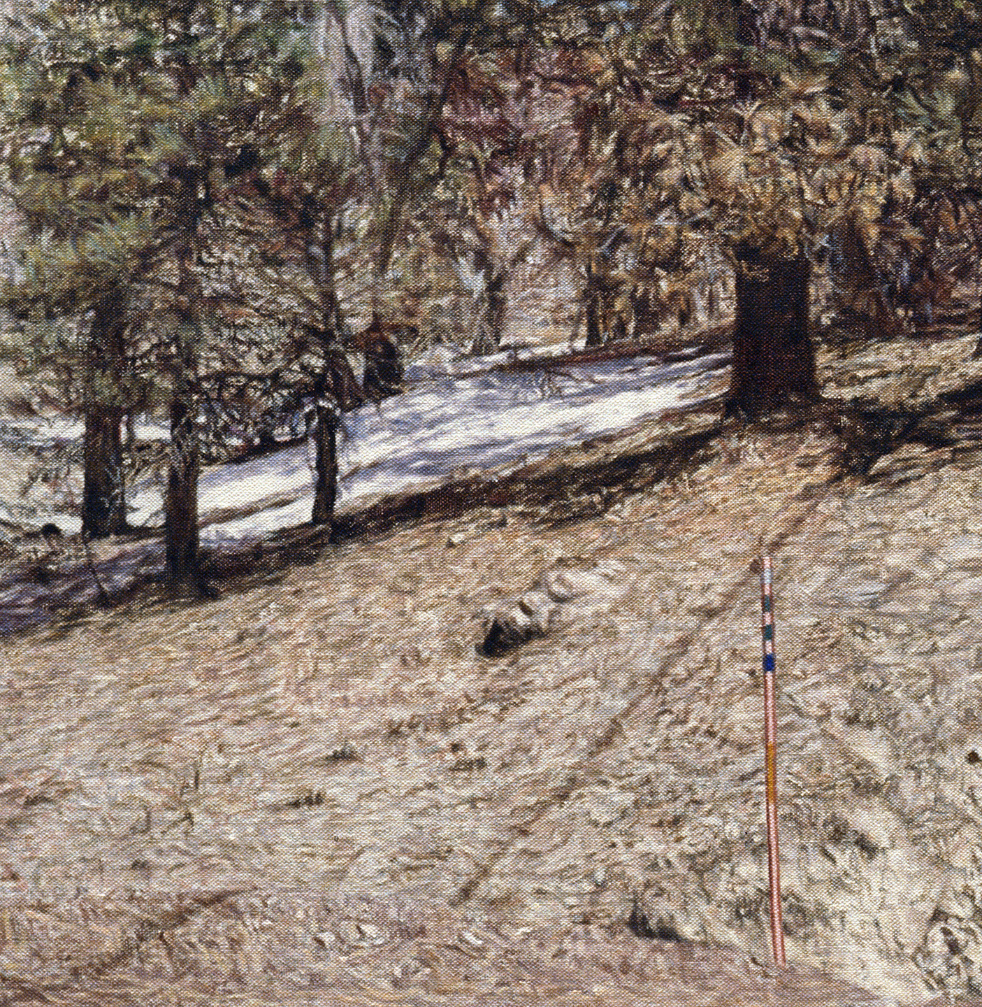   Big Bear Land Slab  (Detail), 2011 Oil on linen 48 x 47 inches    