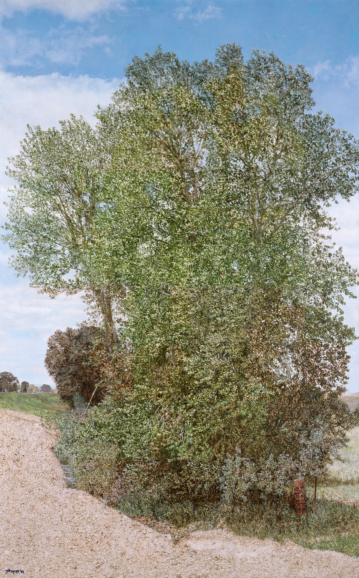   Montana Detour Tree , 2014 Oil on linen 60 1/2 x 38 inches    