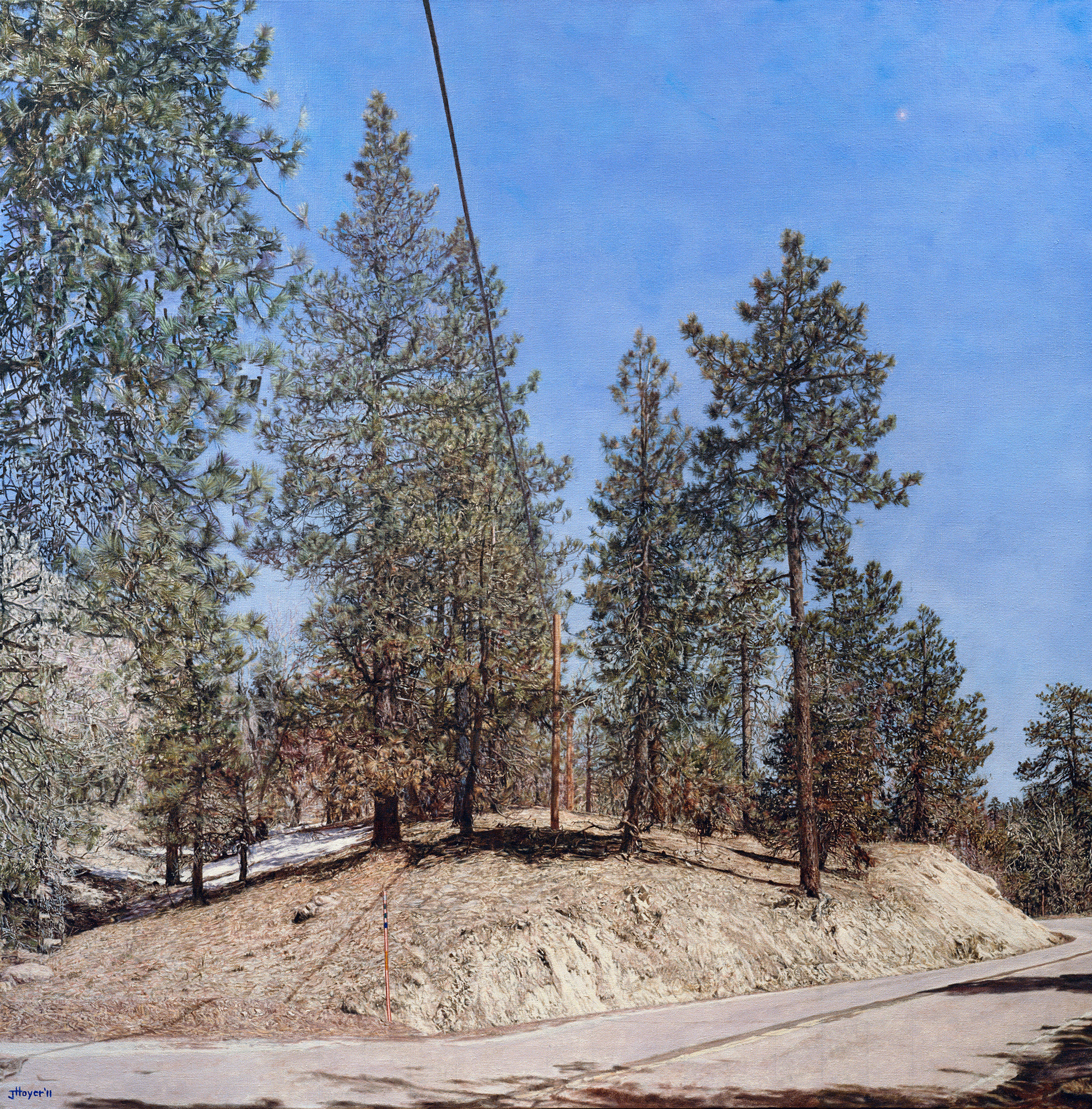   Big Bear Land Slab , 2011 Oil on linen 48 x 47 inches 