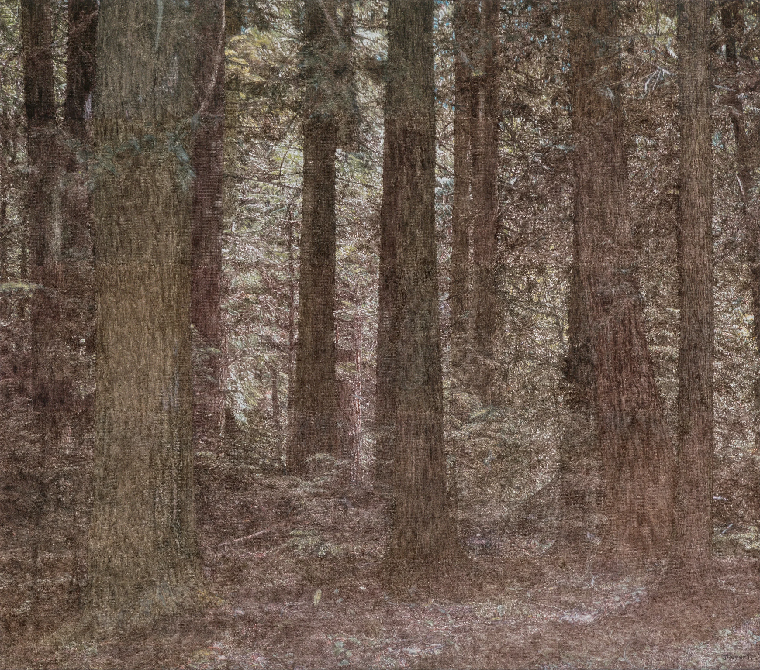 Solstice Woods , 2017 Oil on linen 45 7/8 x 51 5/8 inches