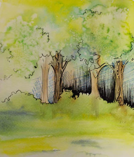 "Forest"