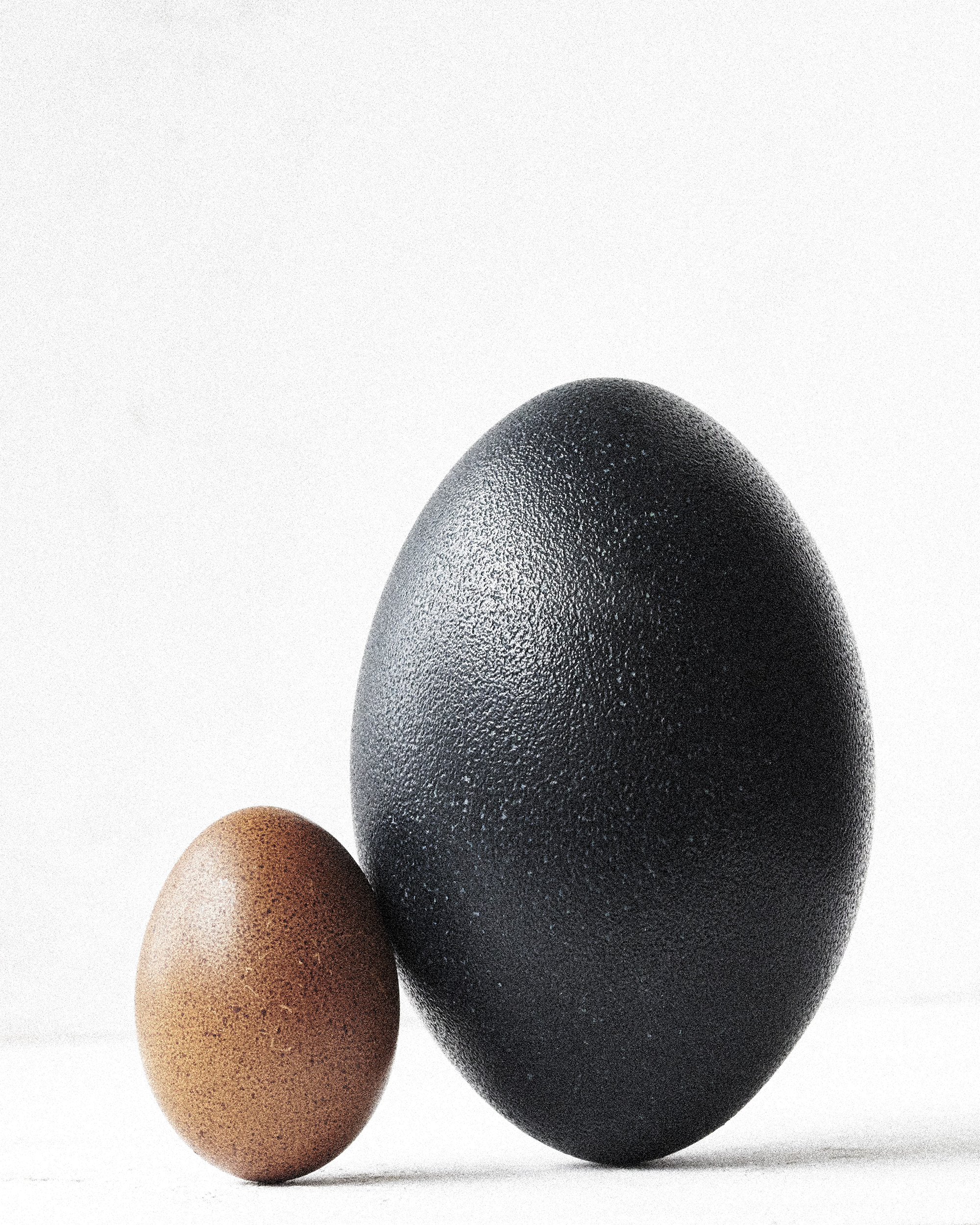 Egg3.jpg