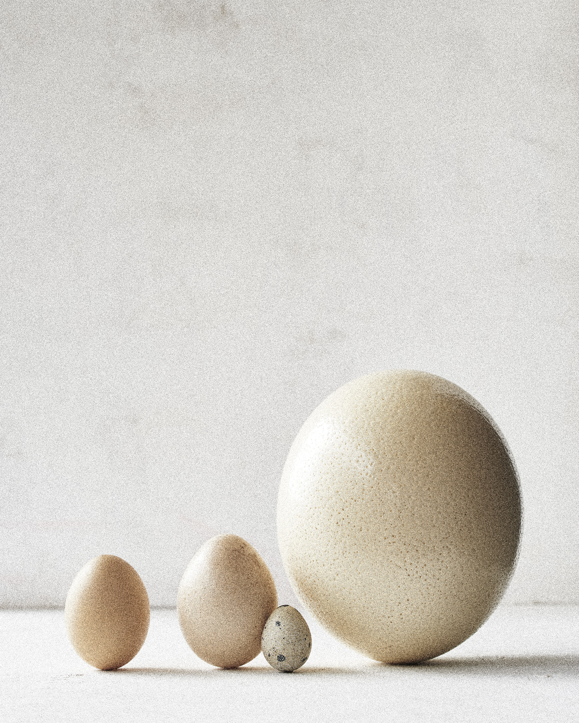 Eggs1.jpg
