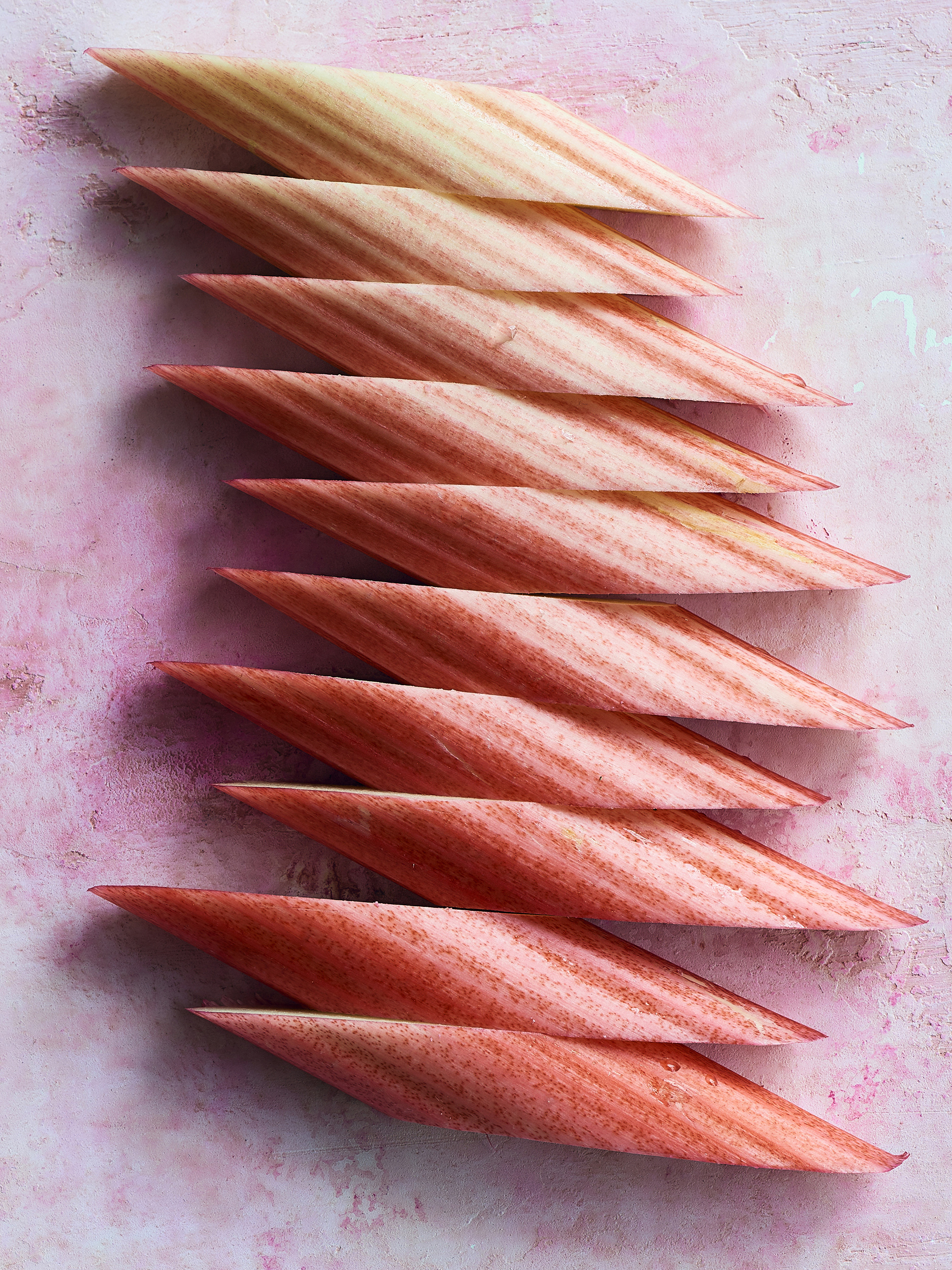 Rhubarb_005_fin.jpg