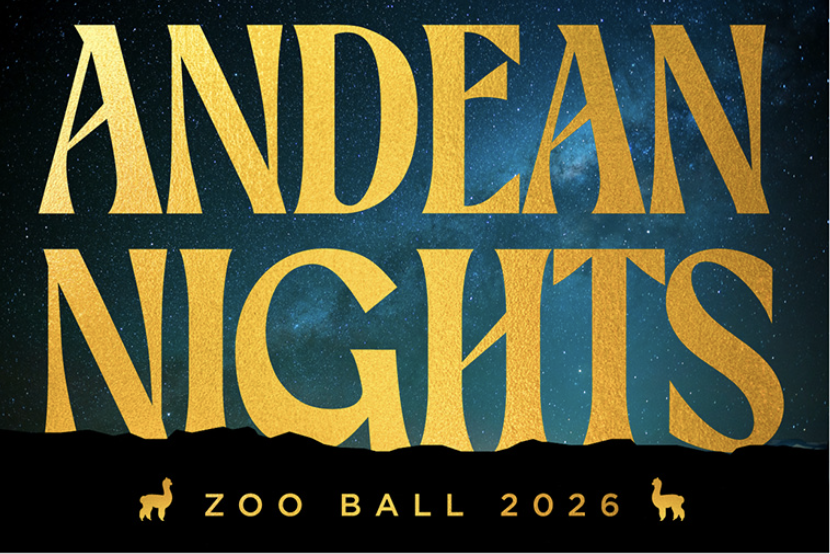 Zoo Ball 2026 ANDEAN NIGHTS 