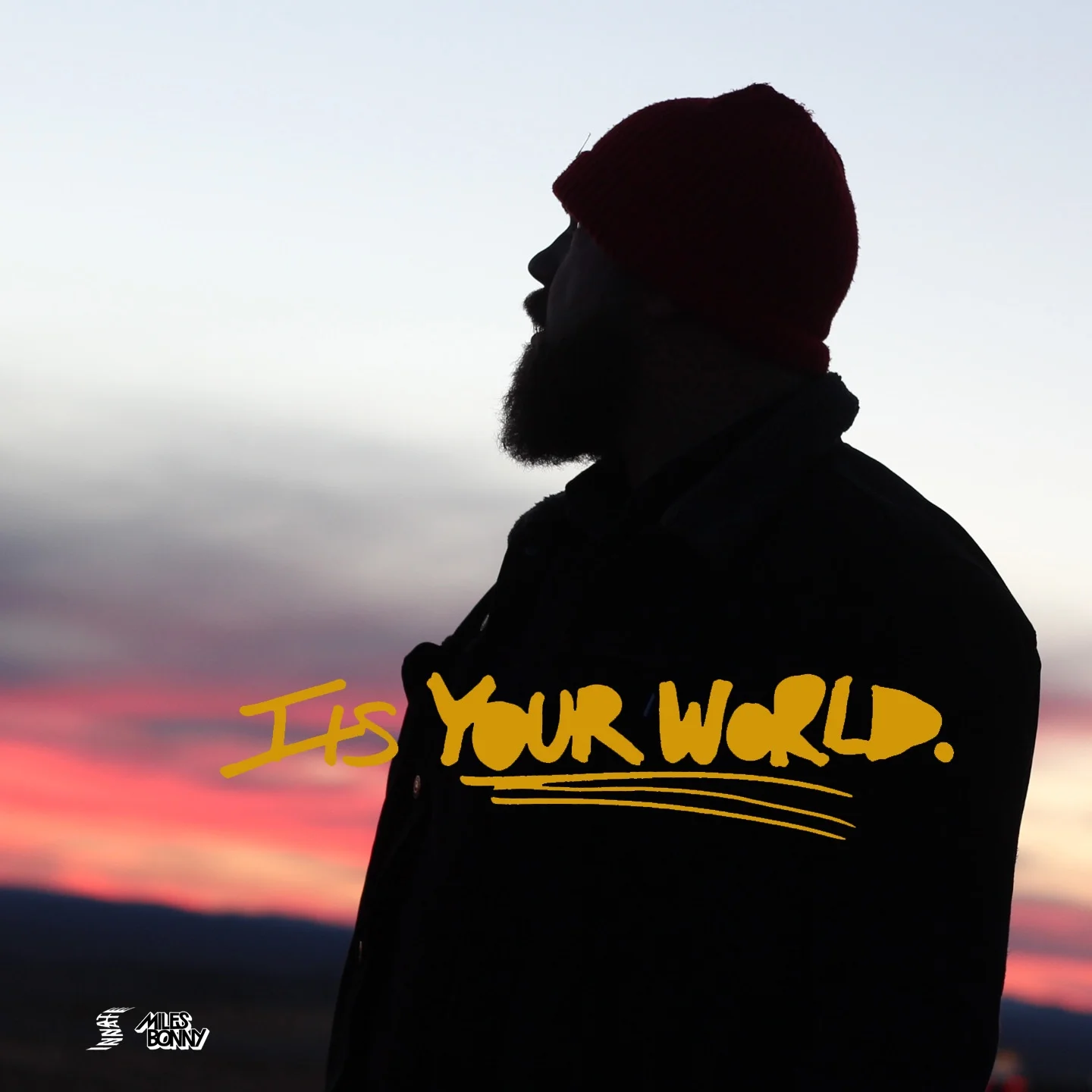 ITS YOUR WORLD COVER_MILES BONNY copy.jpg