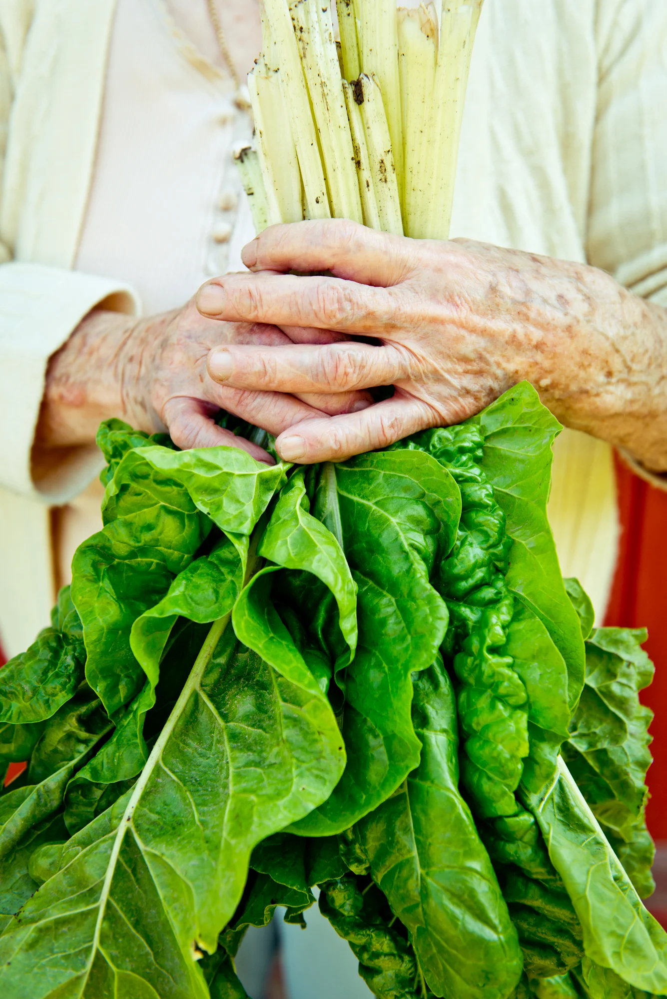 foofarm-20.jpg