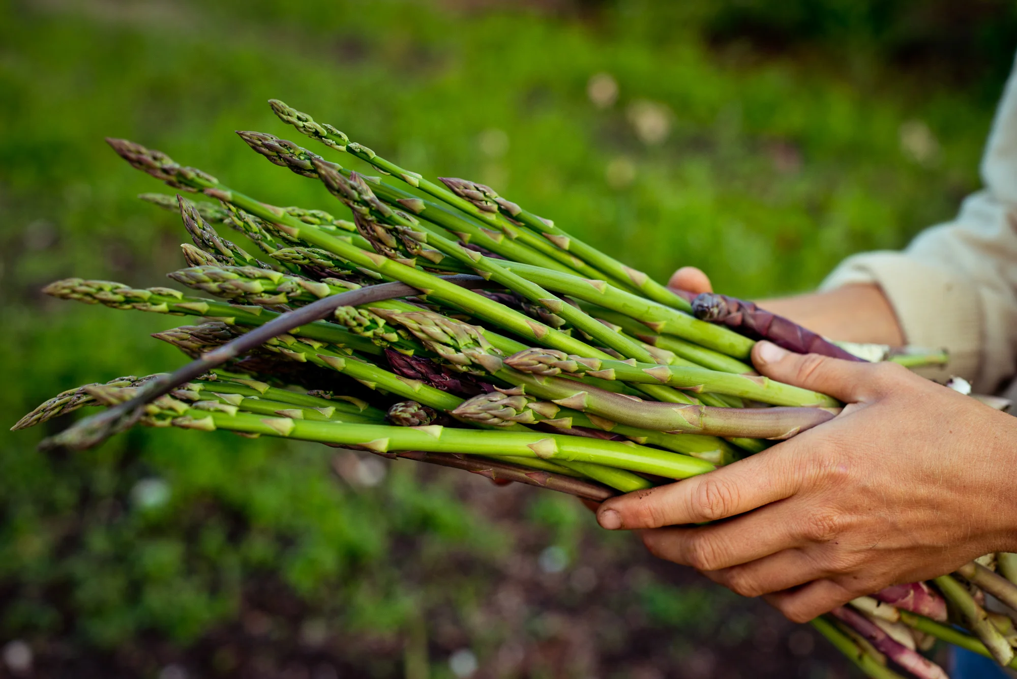 foofarm-27.jpg