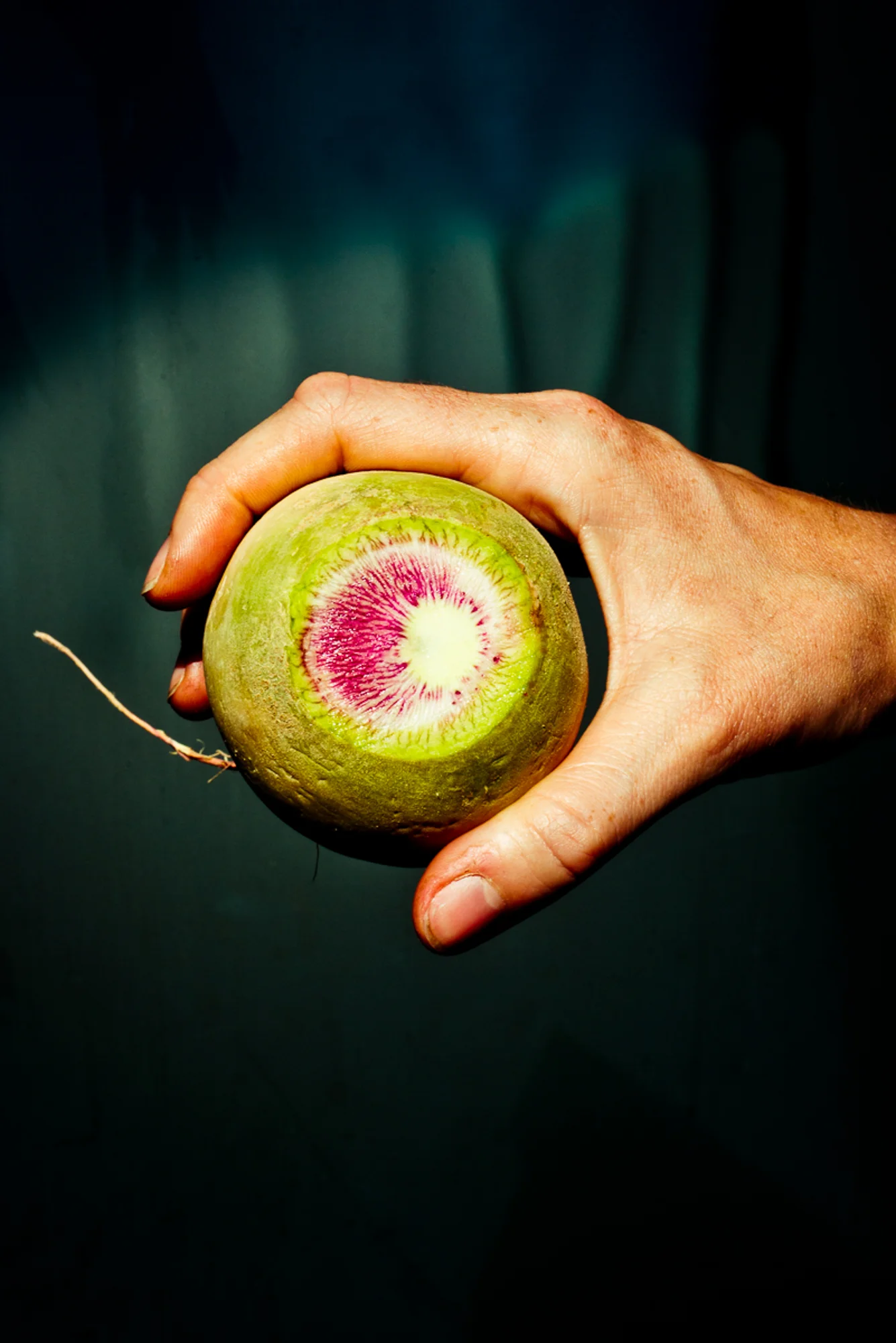 foofarm-29.jpg