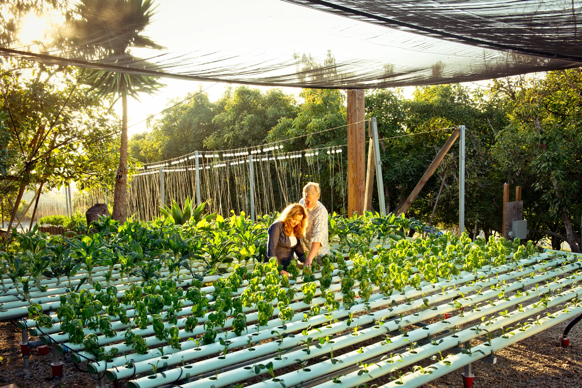 foofarm-33.jpg