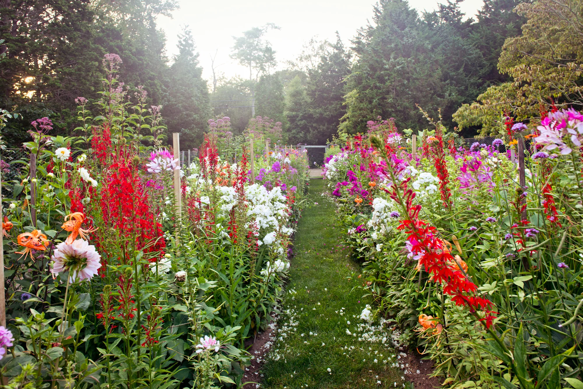 flower-43.jpg