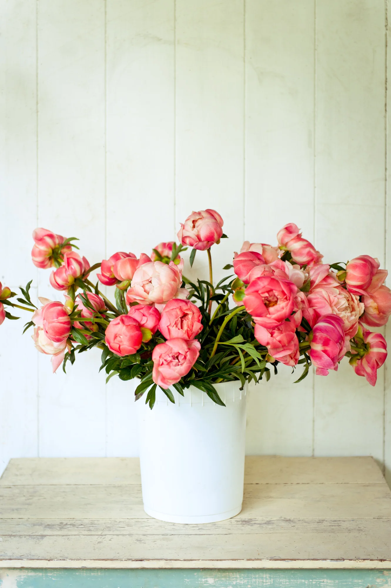 gherman_floretflower-15.jpg
