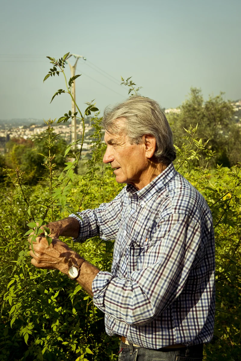 gherman_grasse-78.jpg