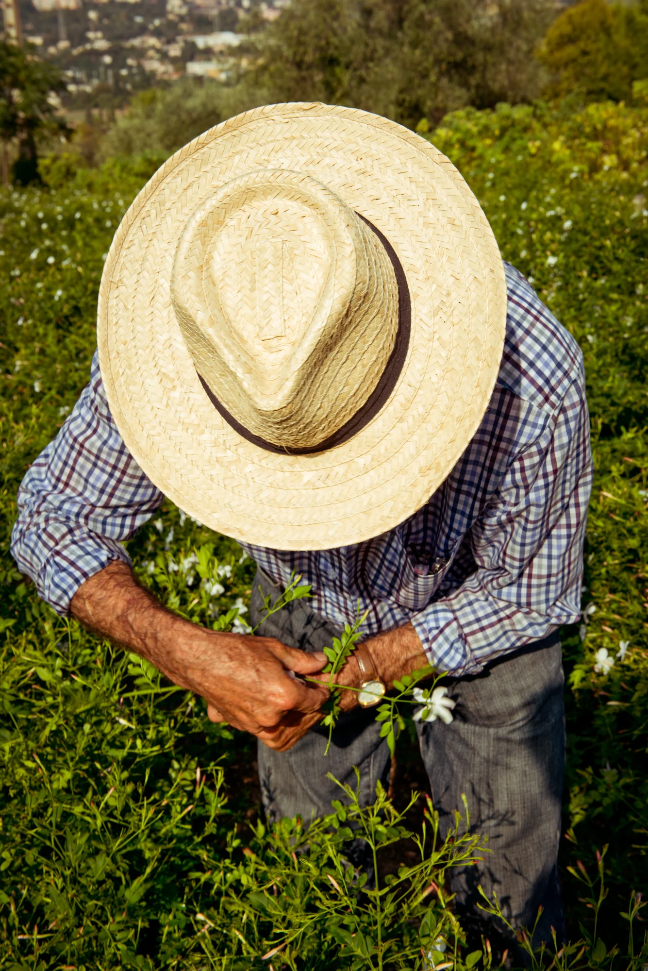 gherman_grasse-75-Edit.jpg