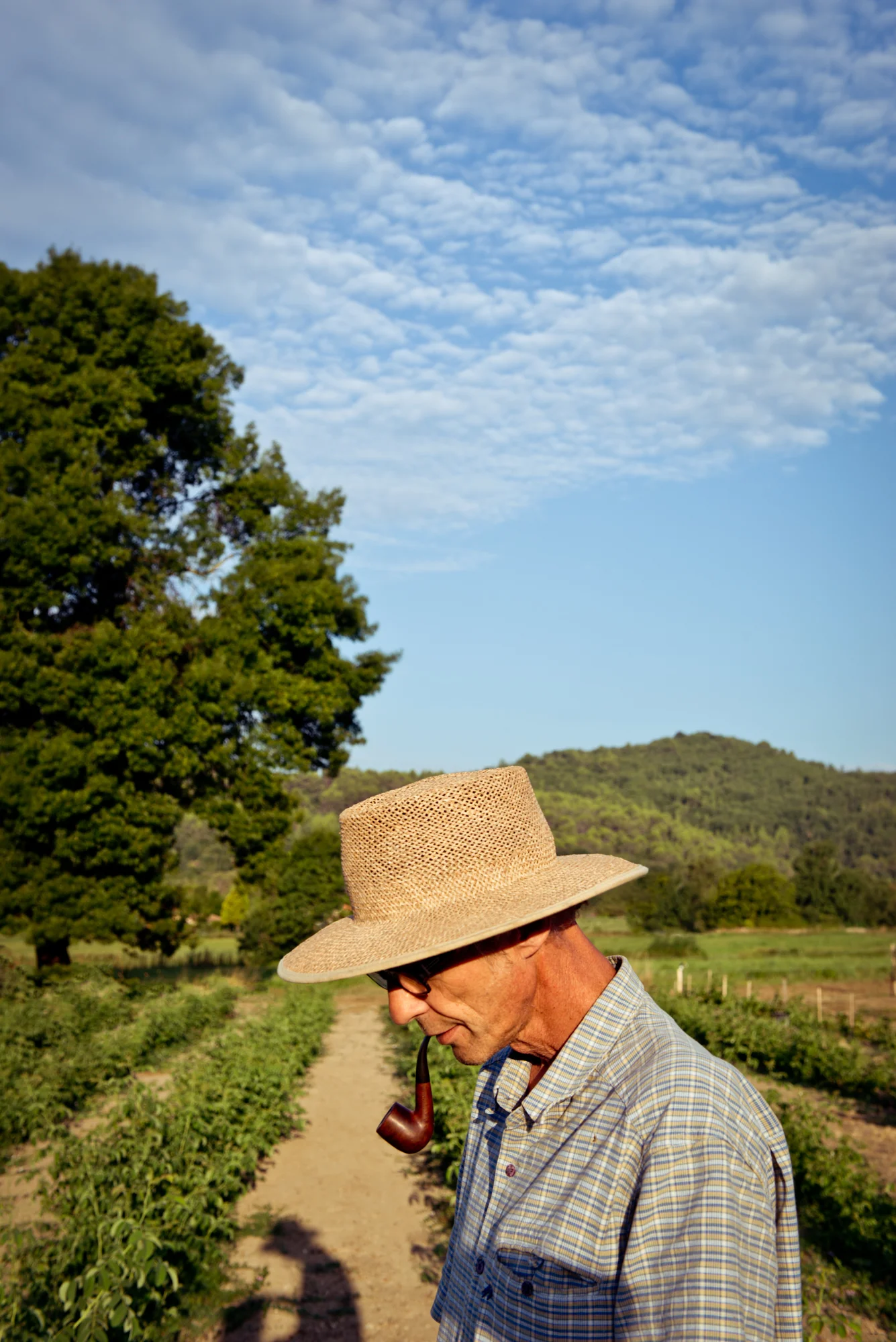 gherman_grasse-171-Edit.jpg