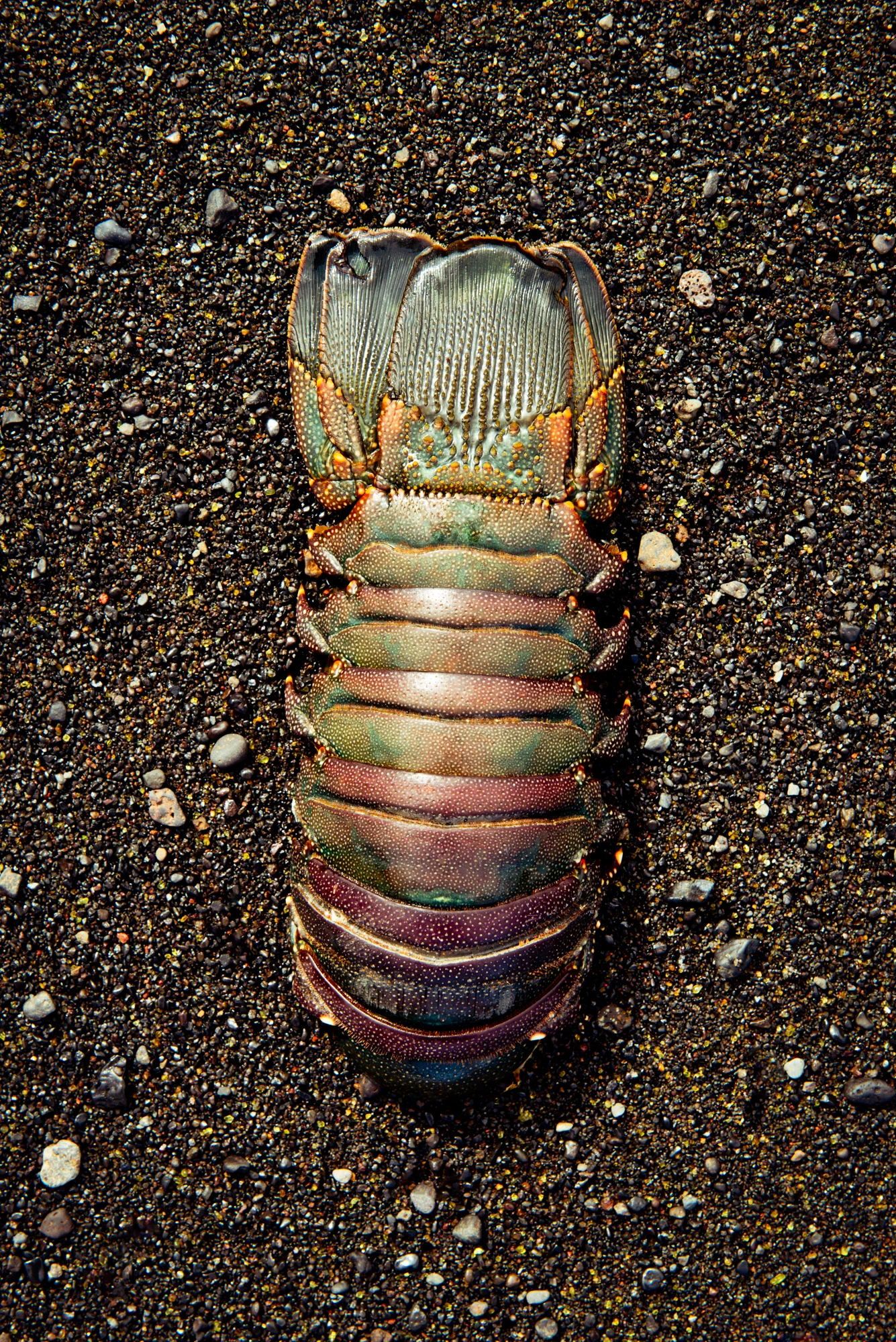 gherman_CNTMaui-220-Edit.jpg
