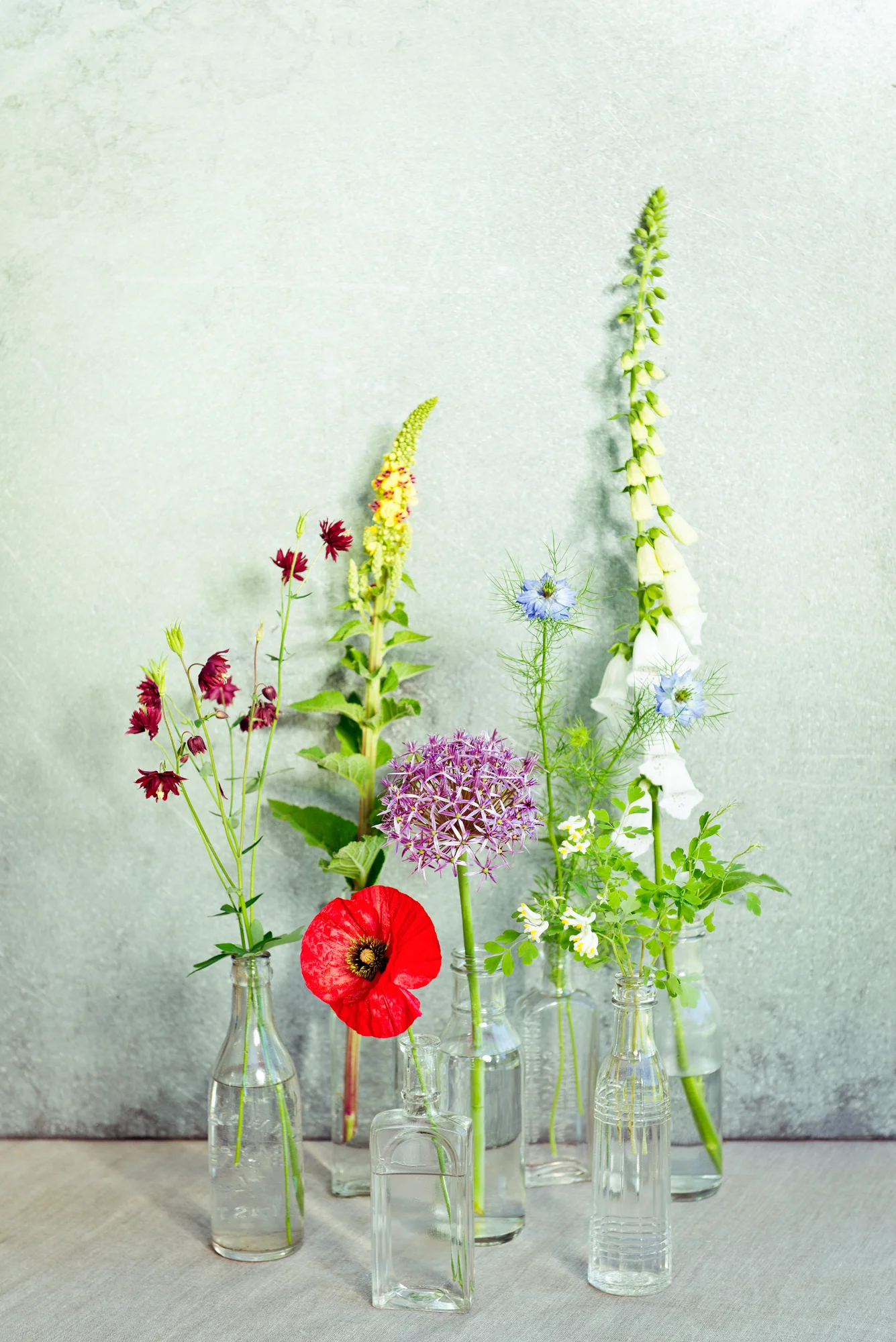 gherman_selfseeders-139.jpg