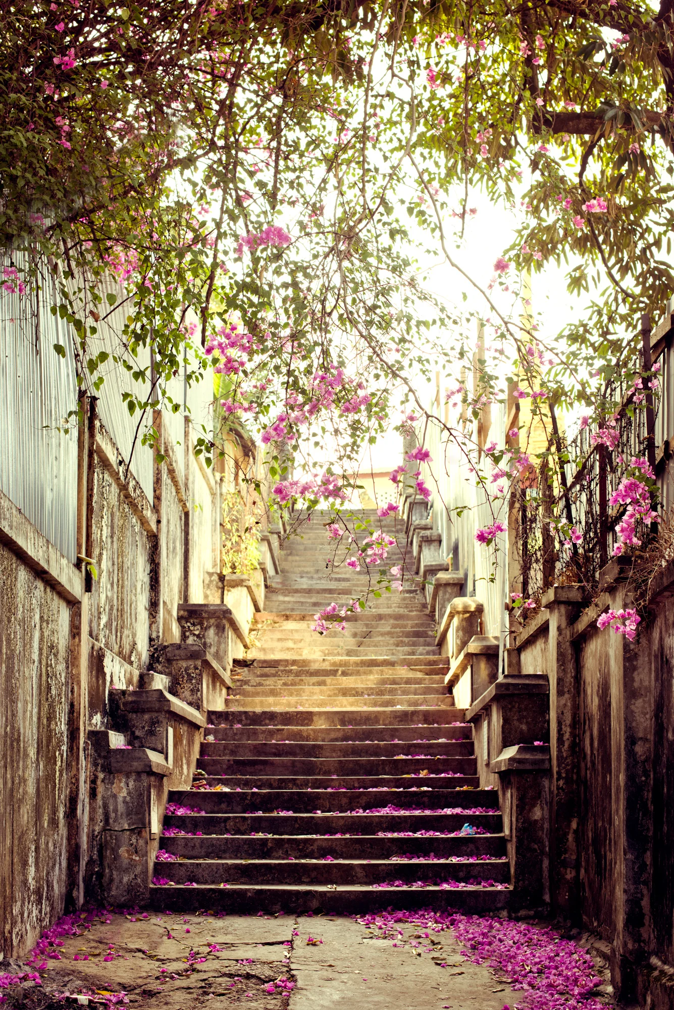 _GNH7045-Edit.jpg